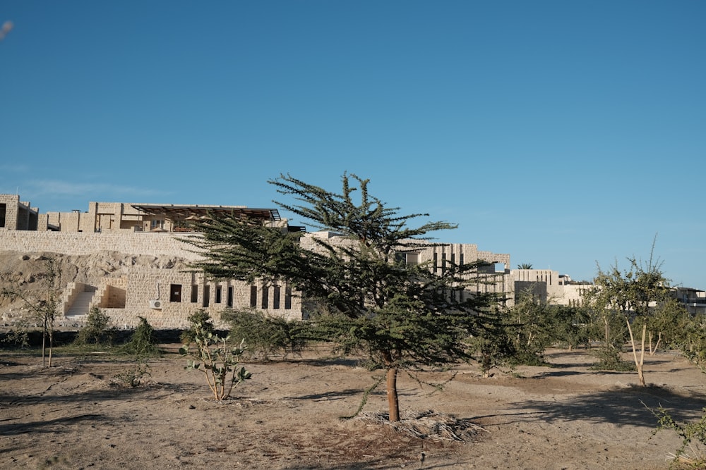 a building with a tree in front of it