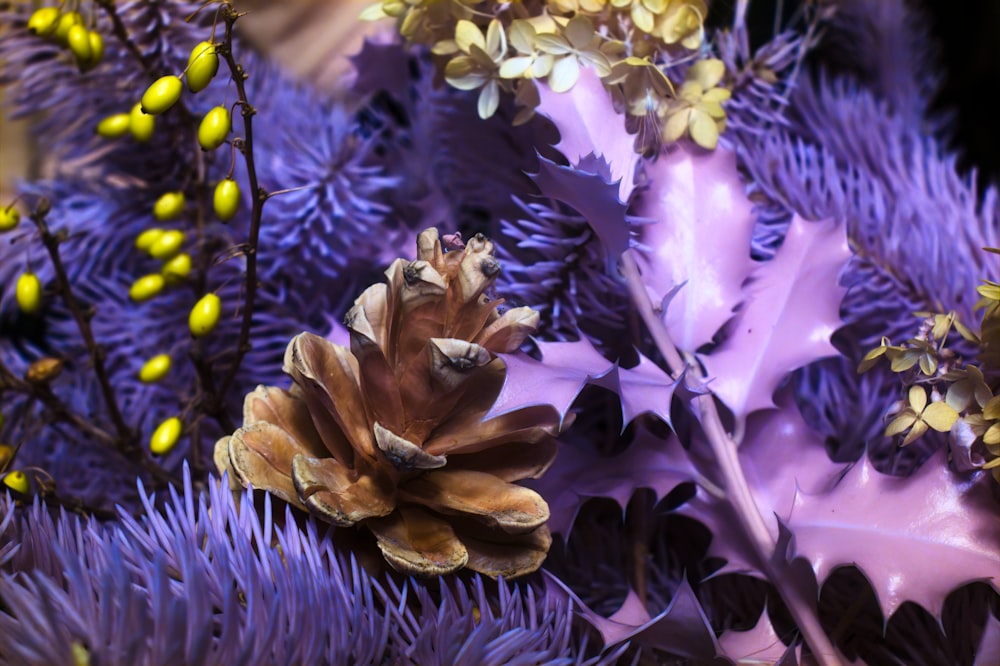 a close up of a bunch of purple flowers