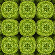 A detailed shot of sacred geometry art inspired by the tree of life and platonic solids.