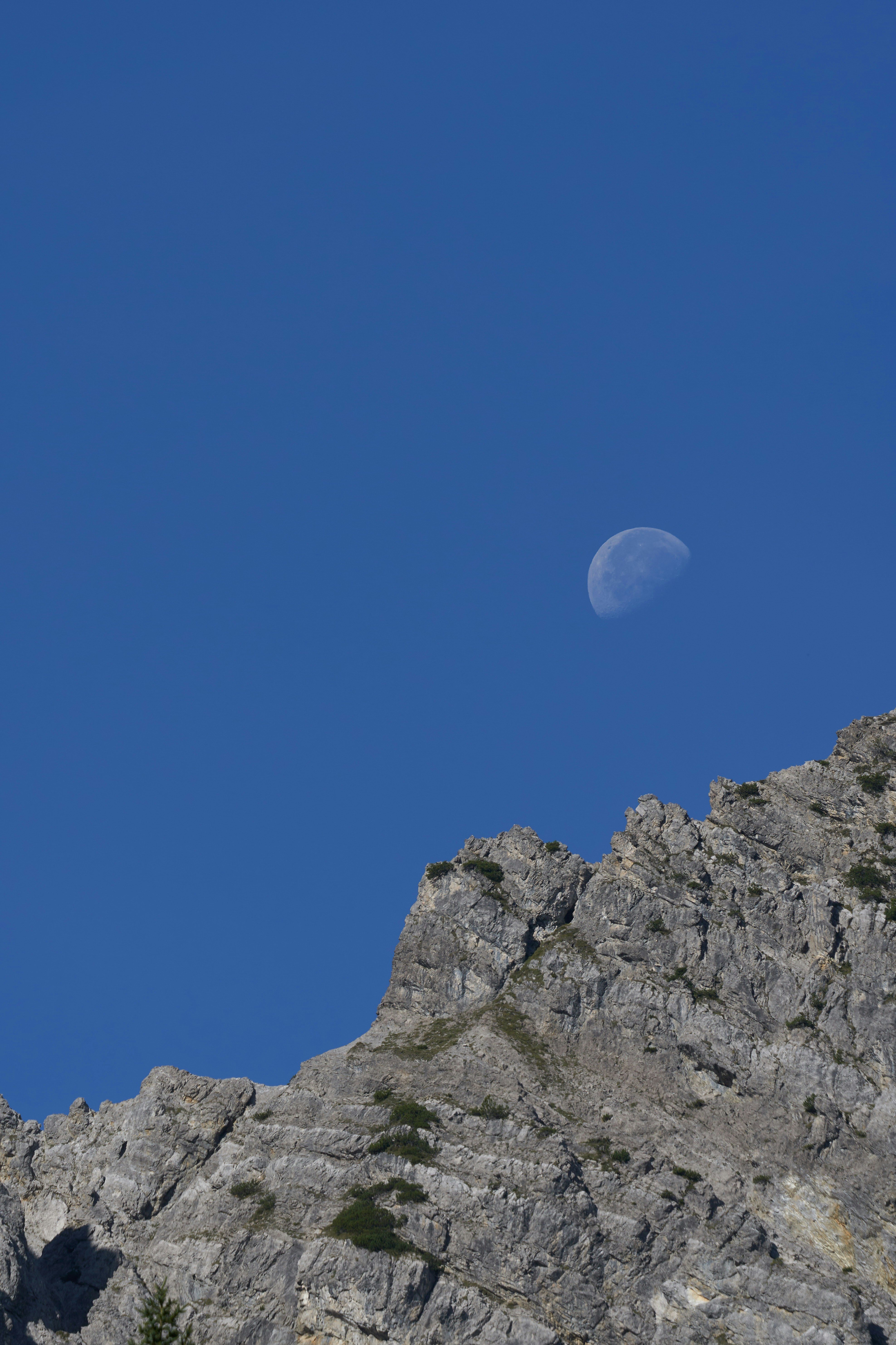 Photo by wolfgang_hasselmann