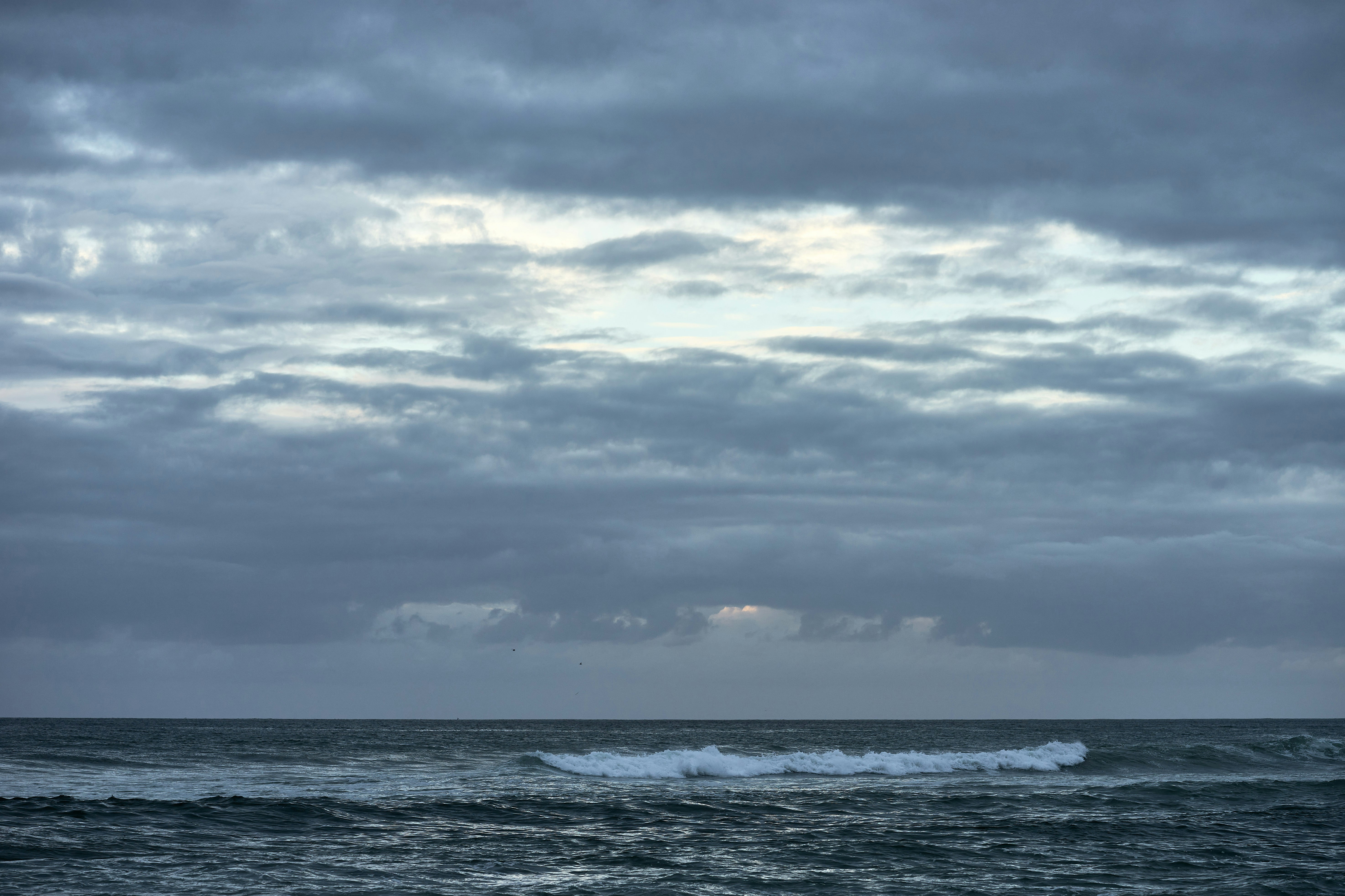 Photo by wolfgang_hasselmann