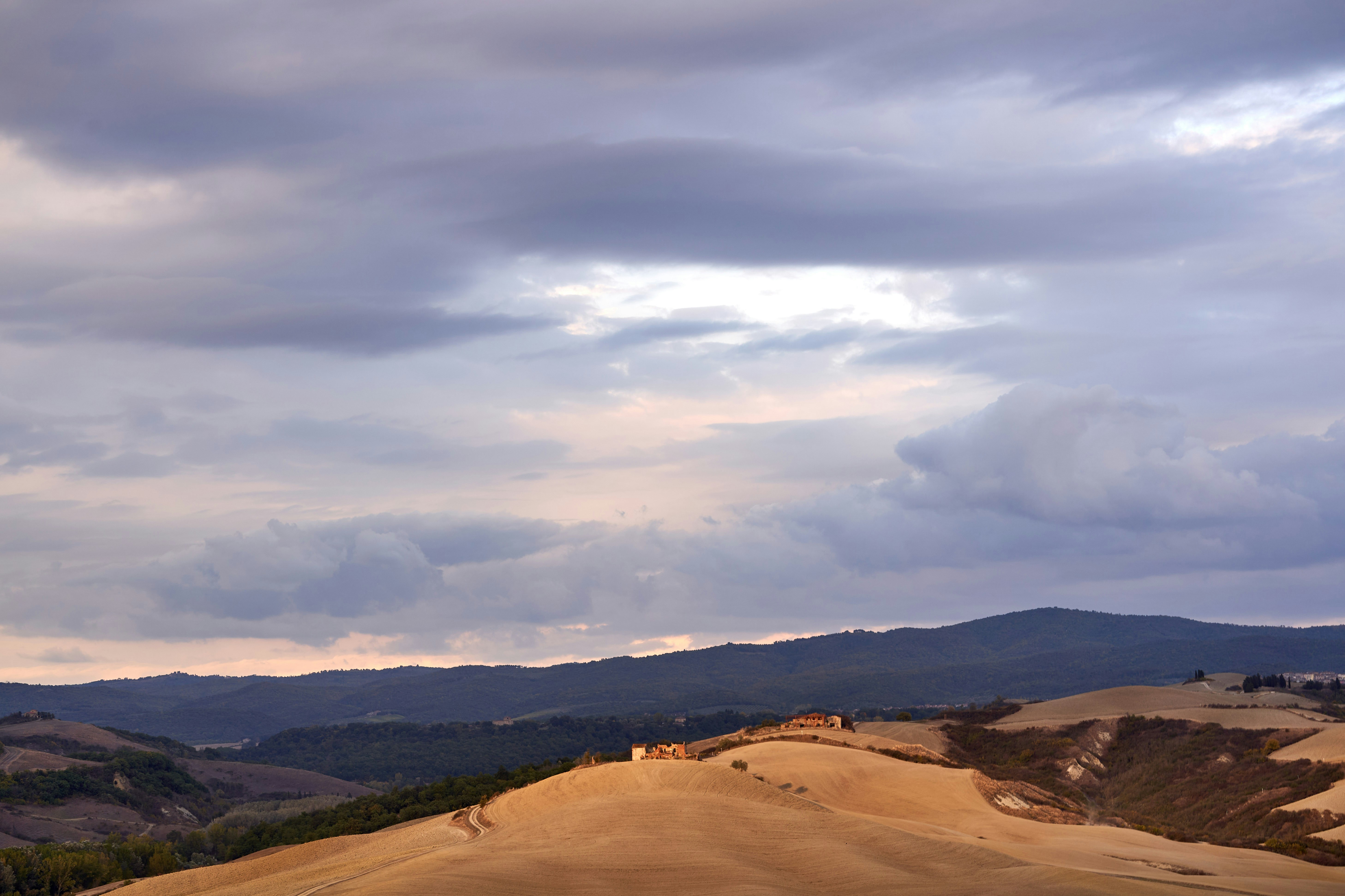 Photo by wolfgang_hasselmann