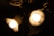 Two illuminated ceiling fan lights with decorative, scalloped glass shades emit a warm glow. The lights are positioned against a dark background, highlighting their brightness and intricate details.