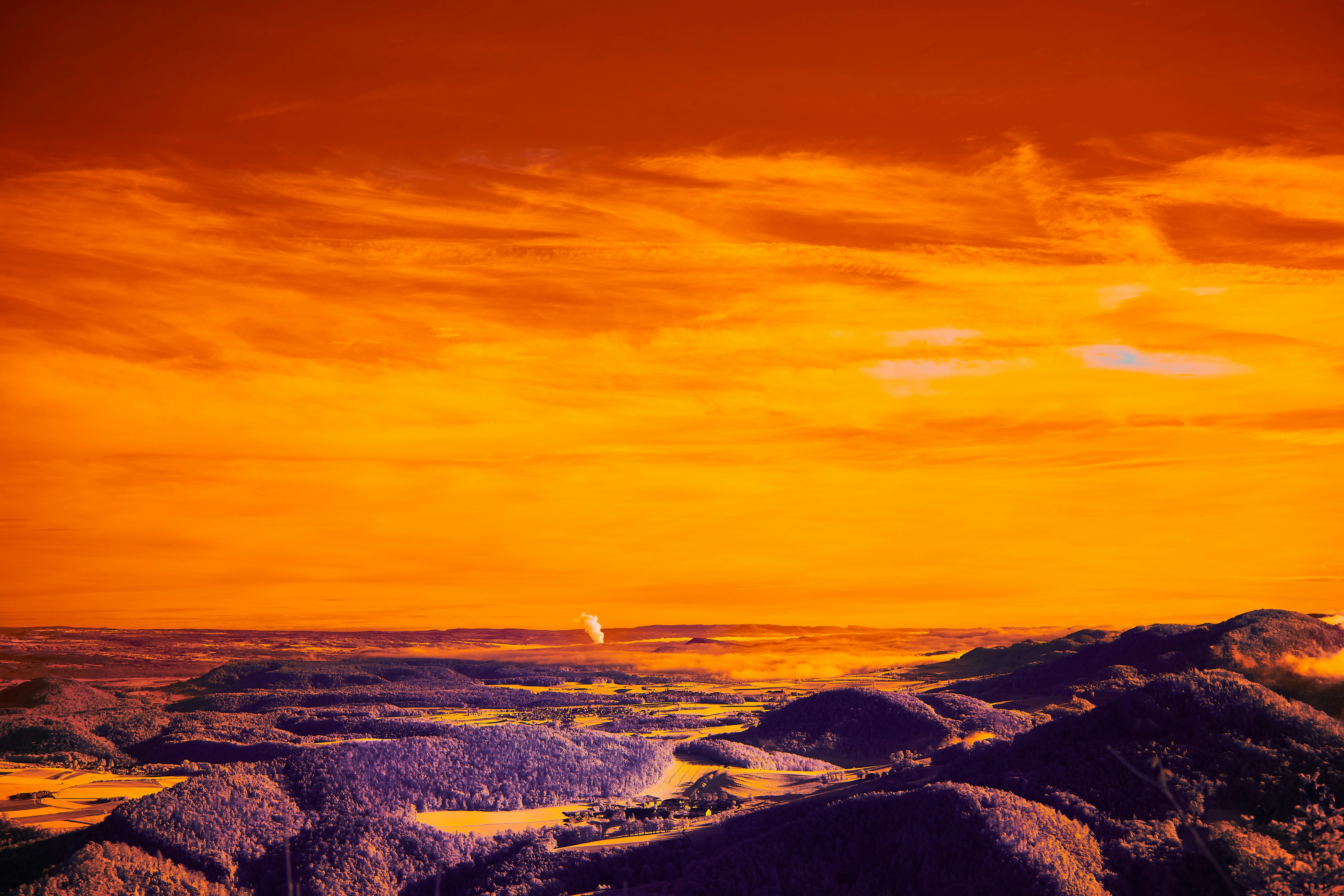 Photo by wolfgang_hasselmann