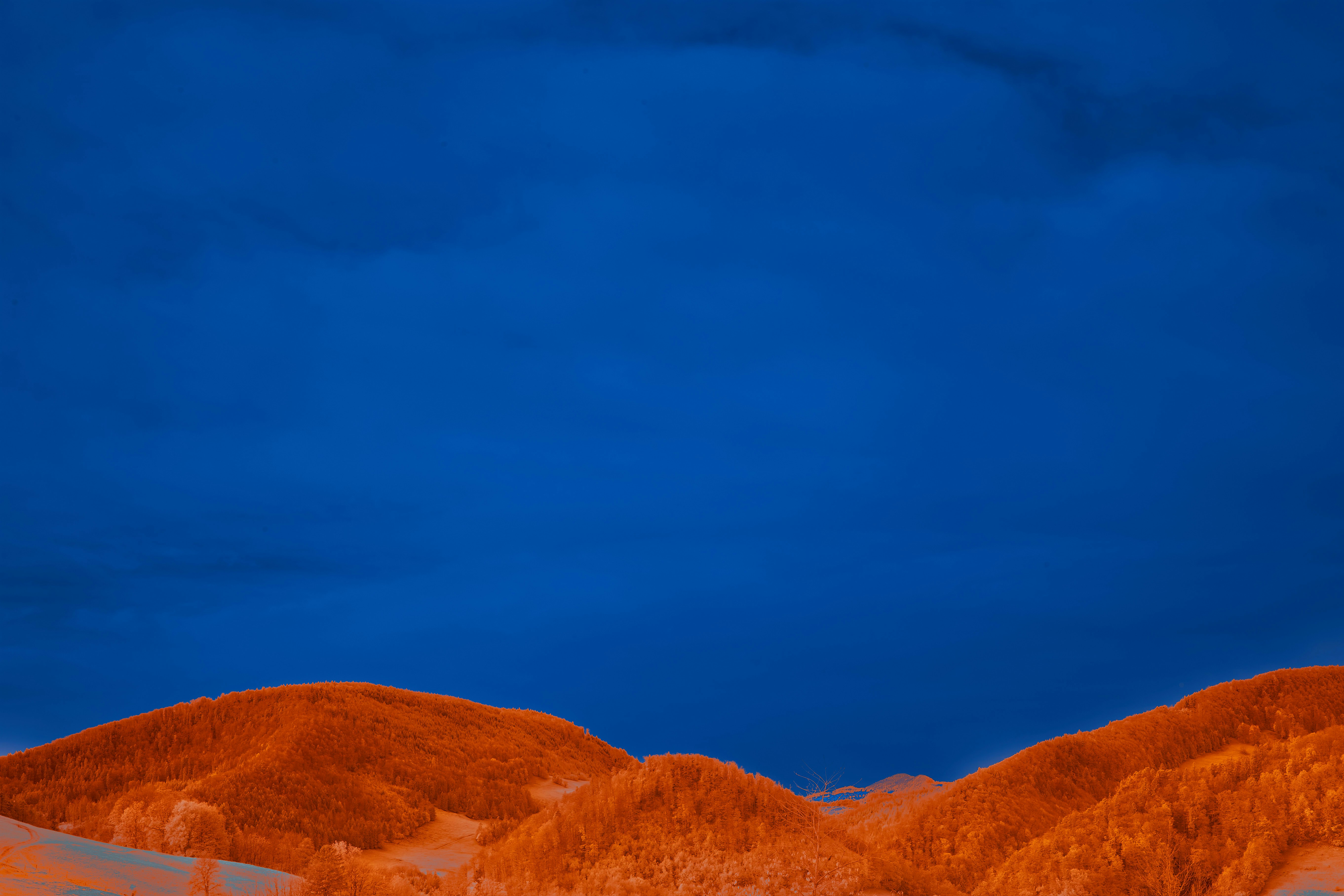 Photo by wolfgang_hasselmann