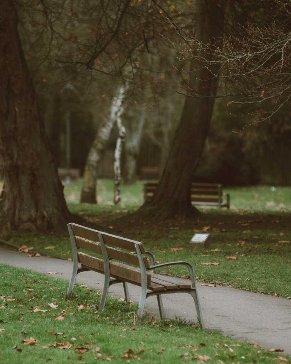 a park bench sitting on a sidewalk next to a tree