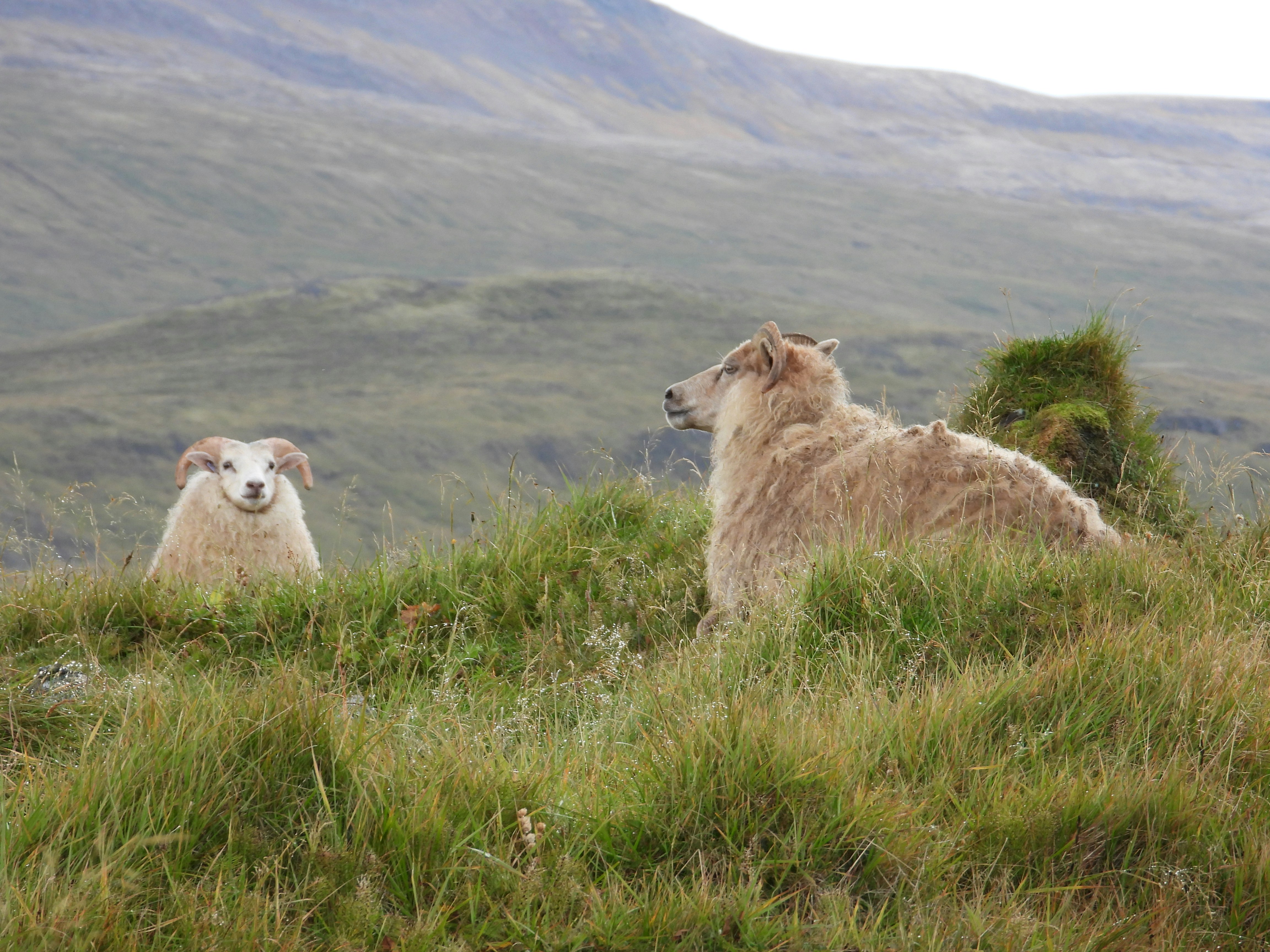 Photo by sorenhchristensen