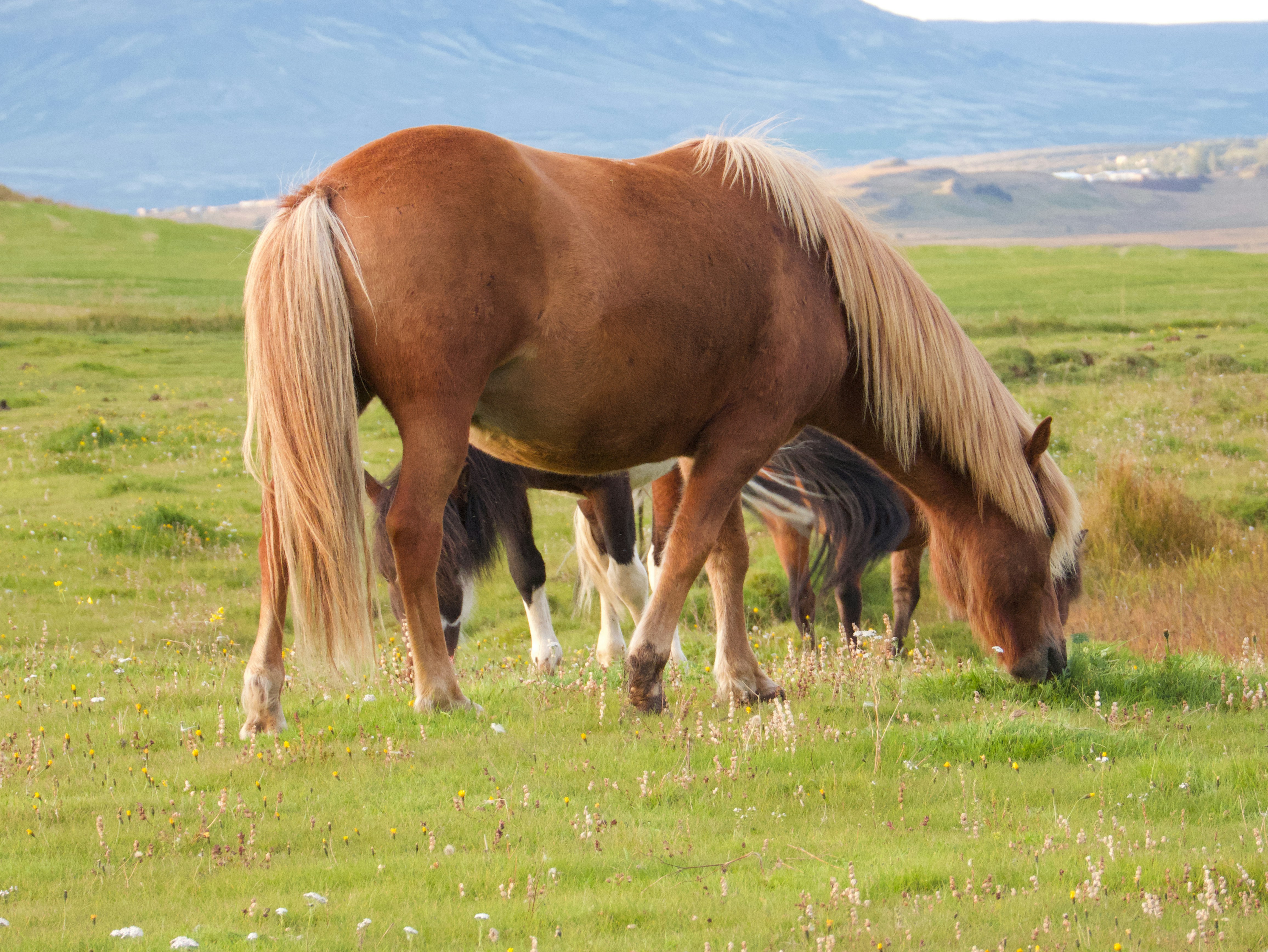 Photo by sorenhchristensen