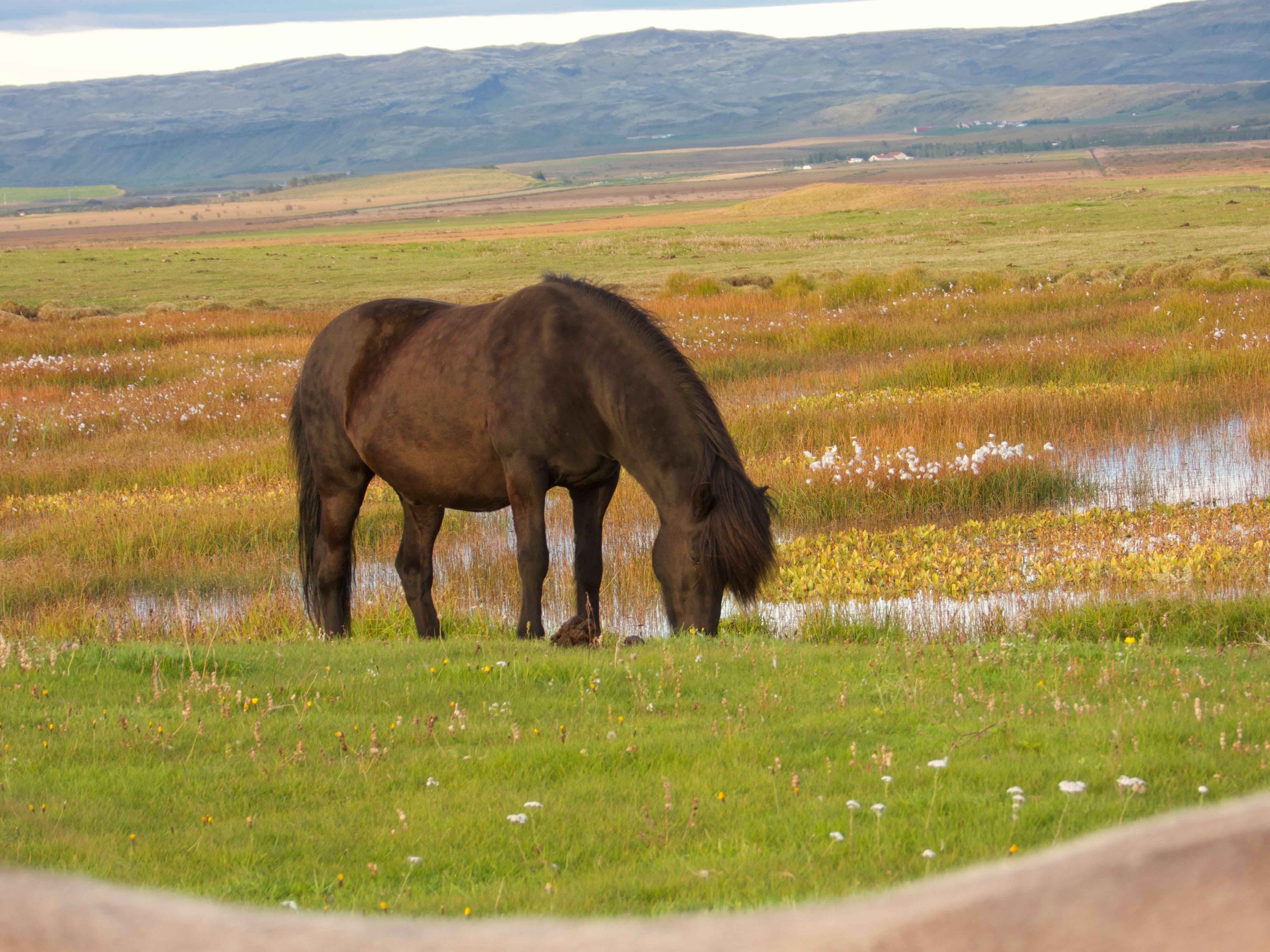 Photo by sorenhchristensen