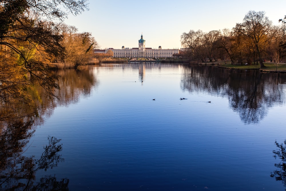 a large body of water surrounded by trees