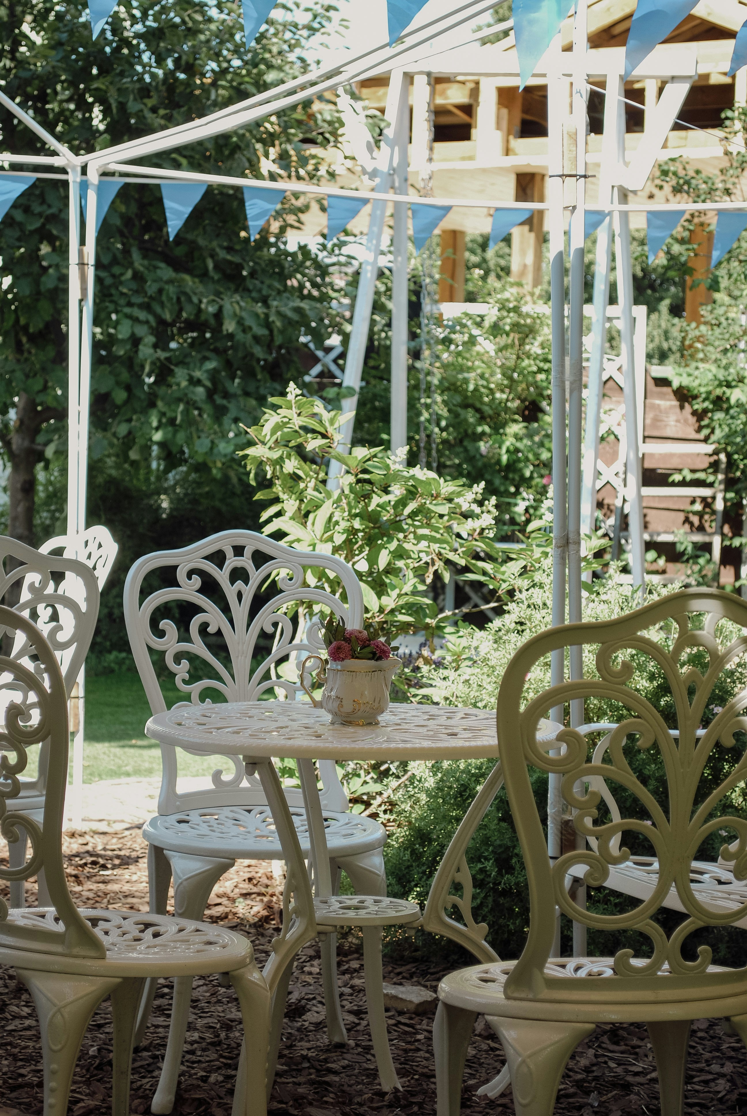 Photo by lapshinakseniia