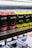 Rows of canned beverages displayed on a shelf, featuring branding that includes the words 'Drippy' and 'cannabis infused'. The cans are predominantly in red and yellow colors with black and white text. The background includes blurred shelves and packaging.