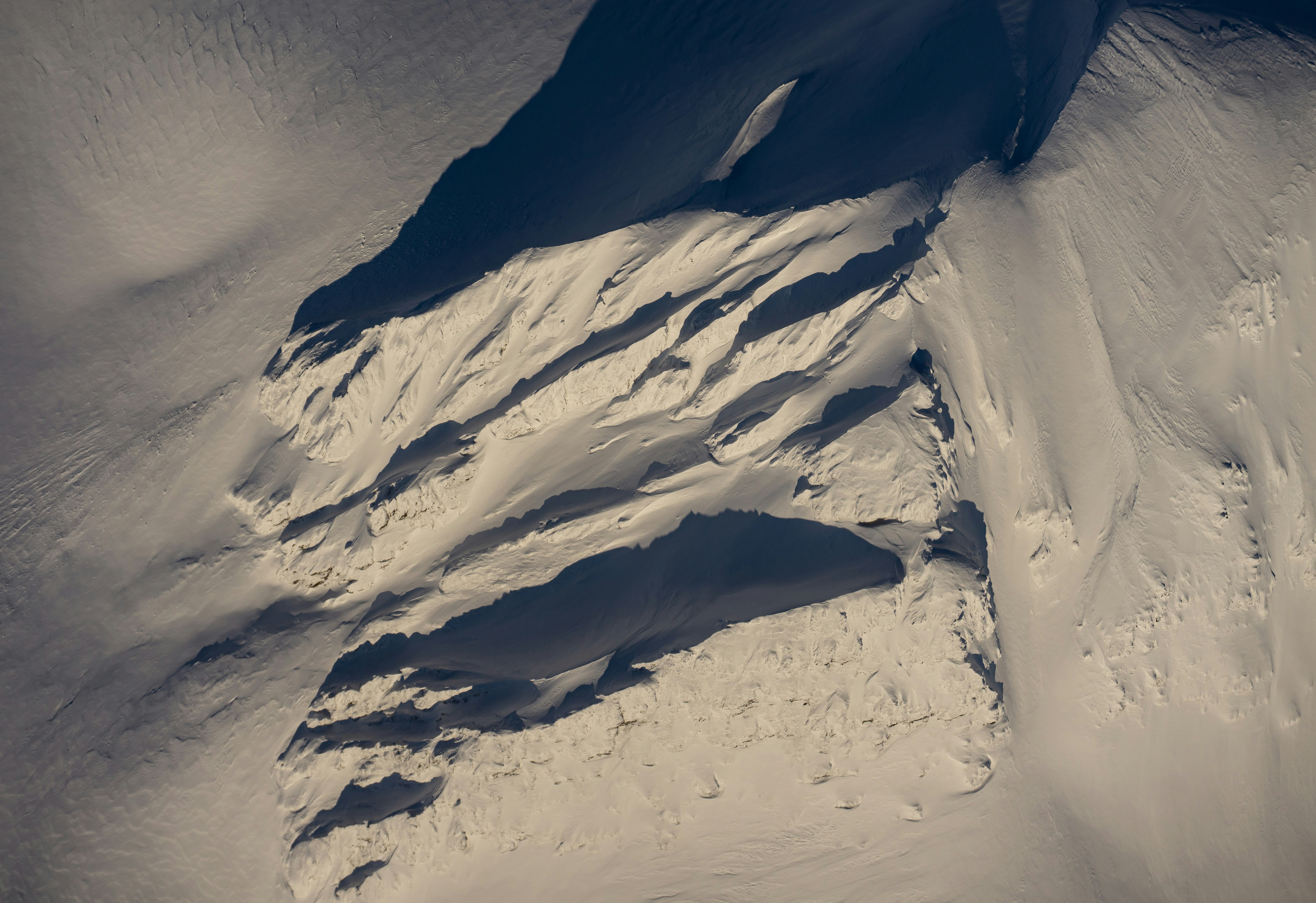 Photo by haeriesisdesigns