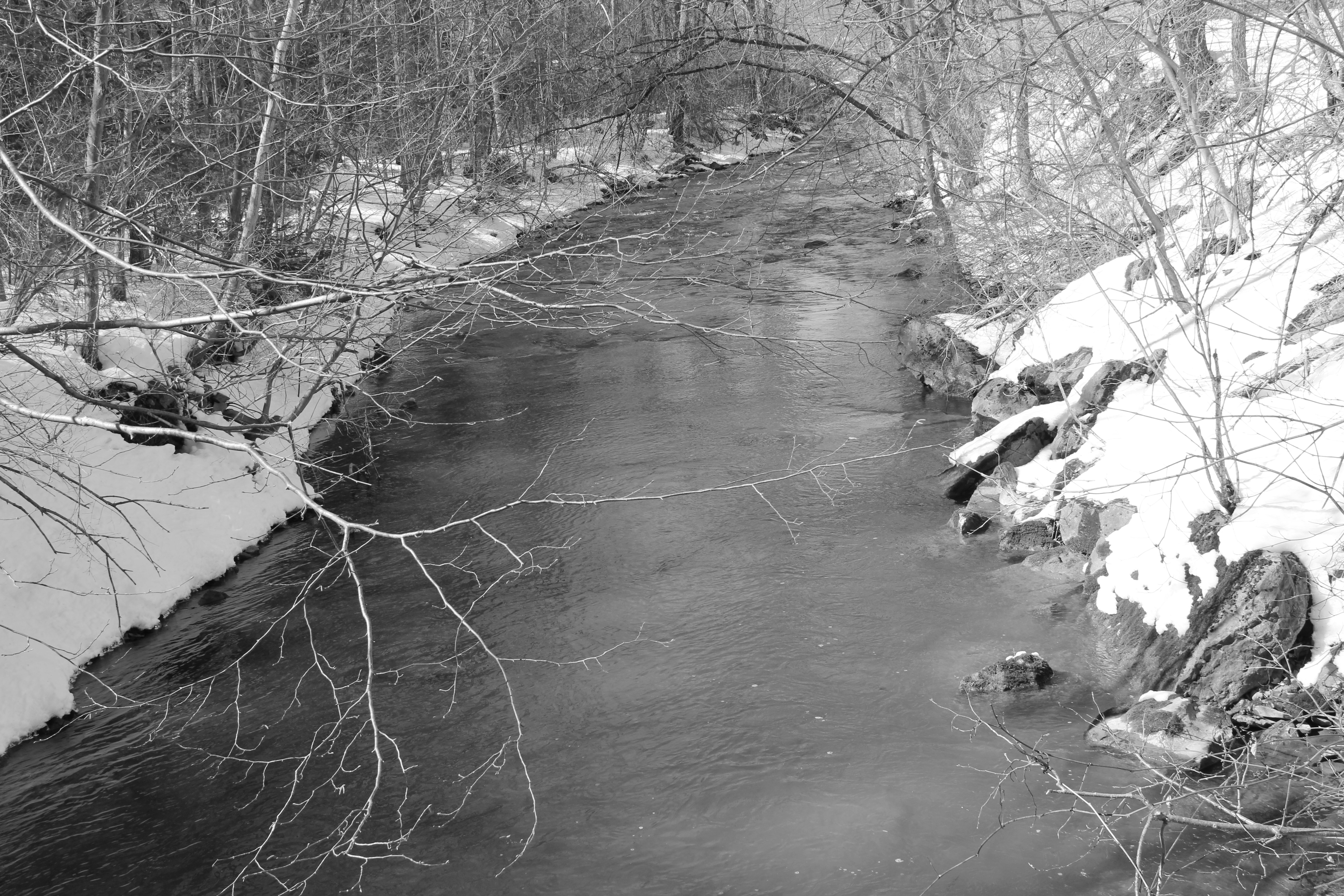 A river running through a snow covered forest photo Free Limestone
