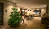 A family happily setting up a medium-sized Christmas tree in a sunlit room with shabby chic decor.