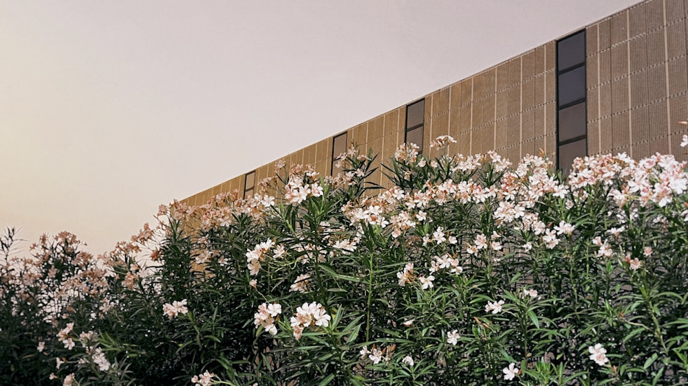 a building with a bunch of flowers in front of it