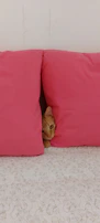 A playful cat in a vibrant pink dress, lounging on a cozy cushion.