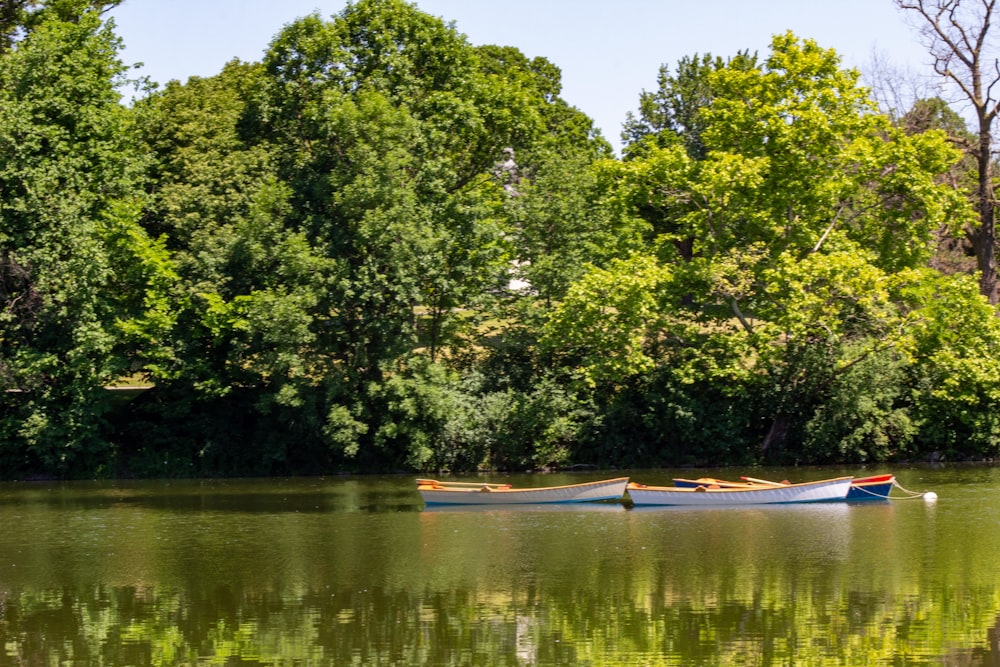 a row boat floating on top of a lake surrounded by trees