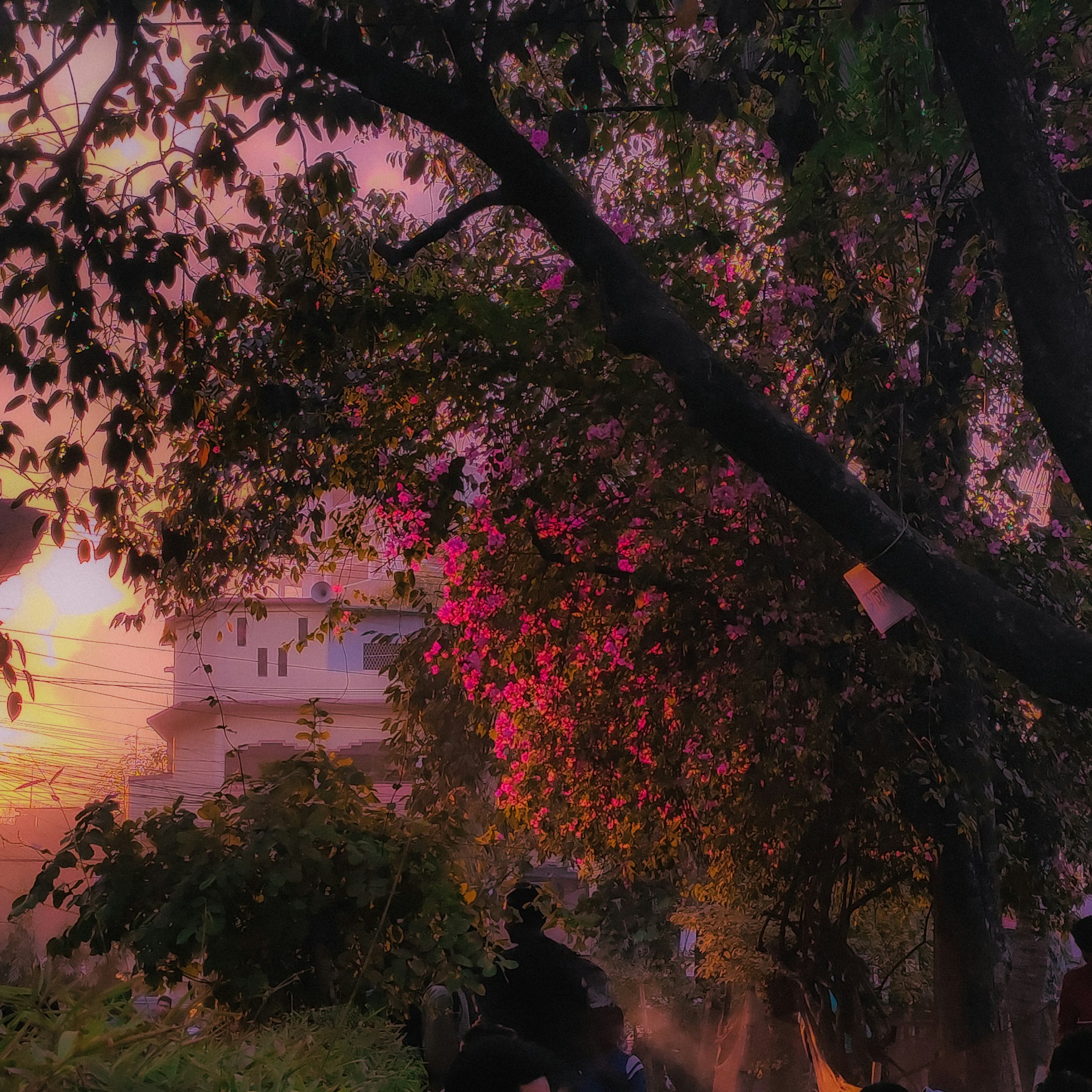 woman wearing yellow long-sleeved dress under white clouds and blue sky during daytime