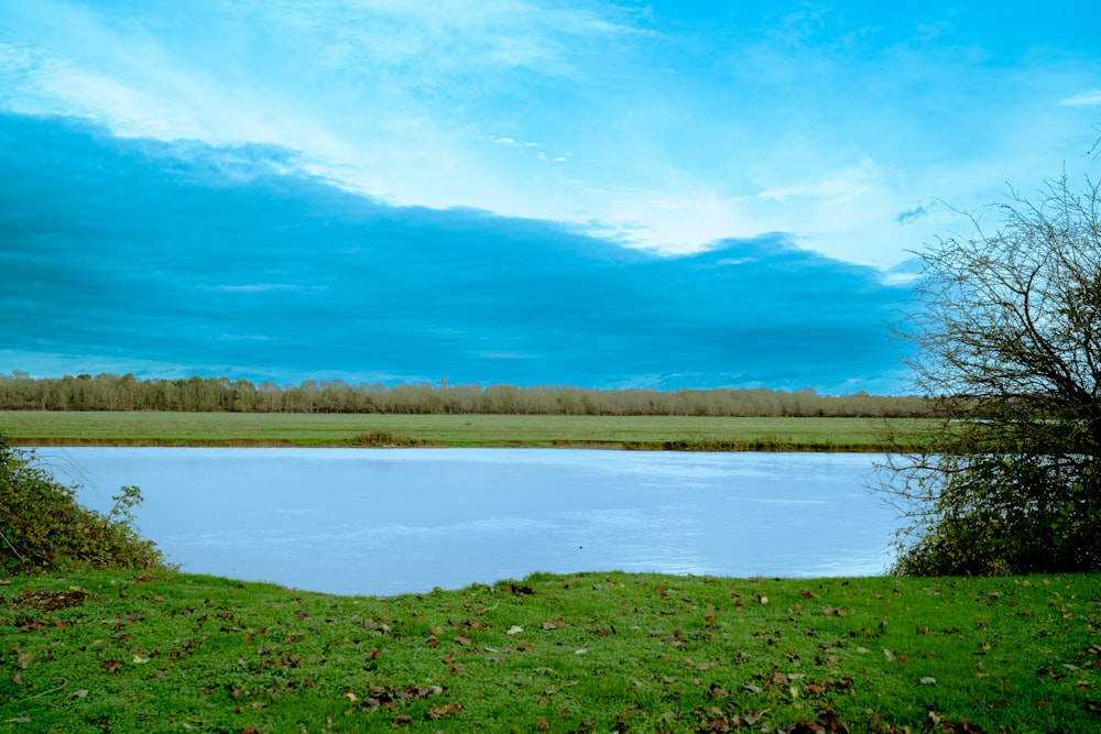 a large body of water sitting next to a lush green field