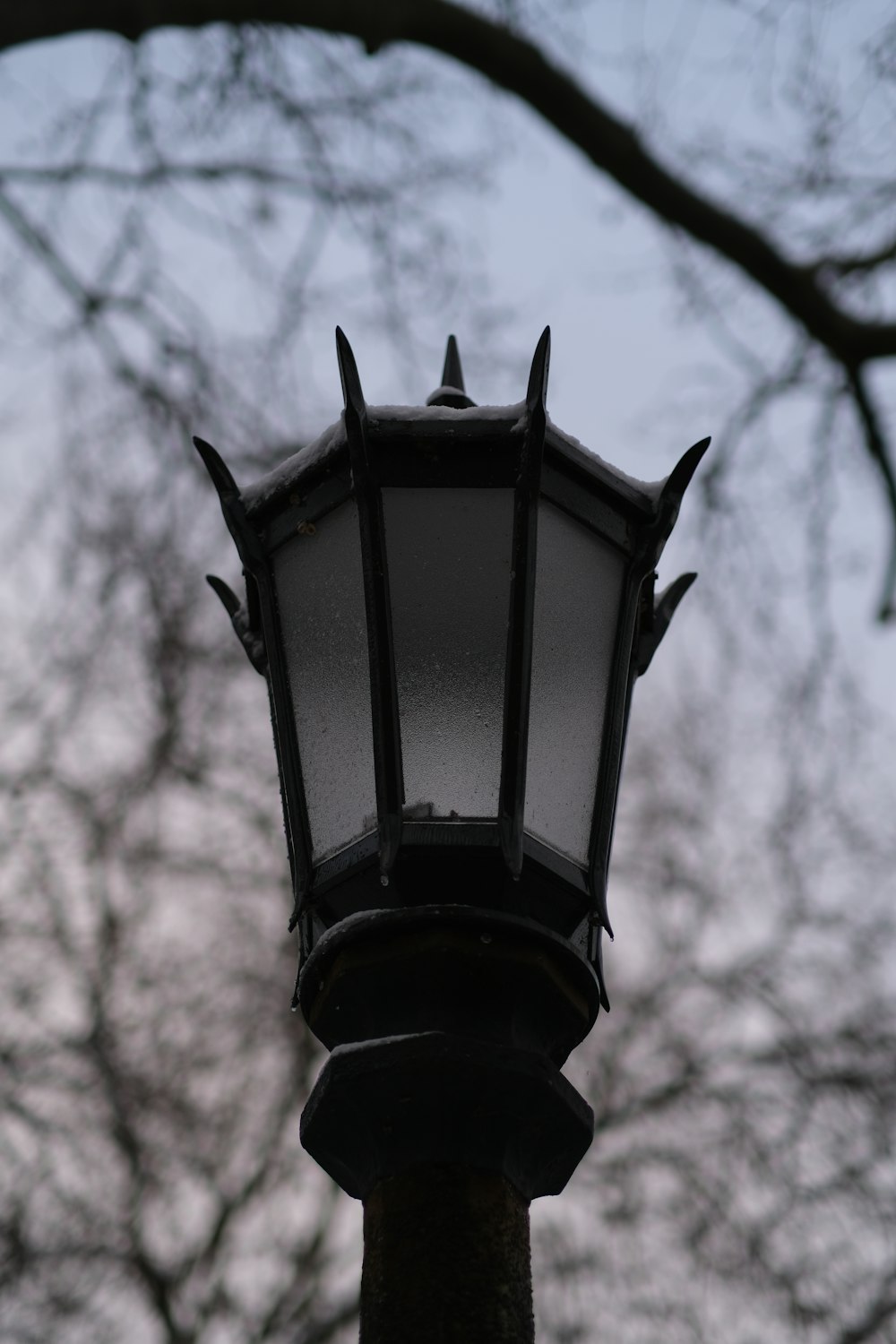 a lamp post with a tree in the background