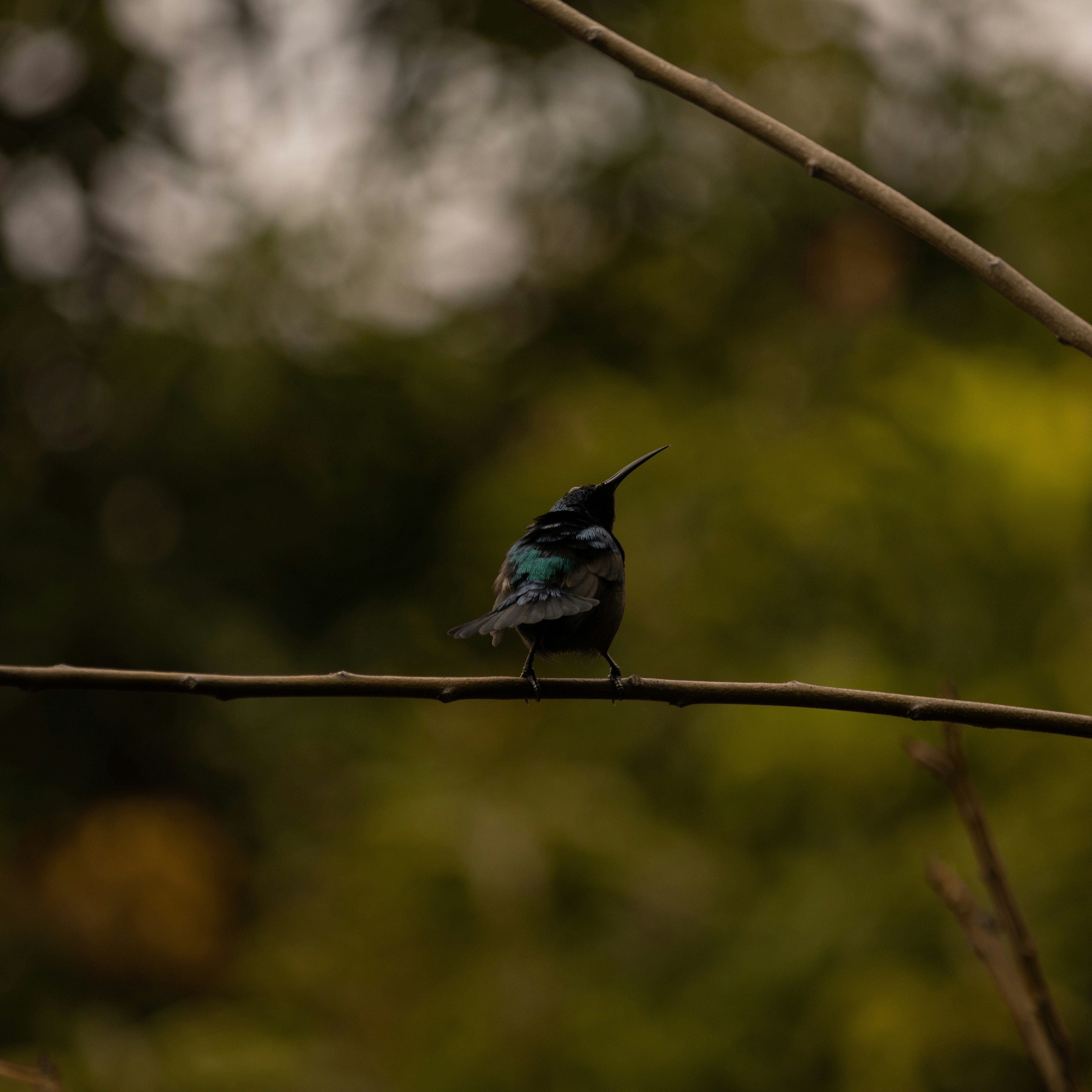 Photo by mariyan_rajesh