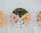 Close-up of assorted colorful sweets beautifully arranged on a rustic wooden table