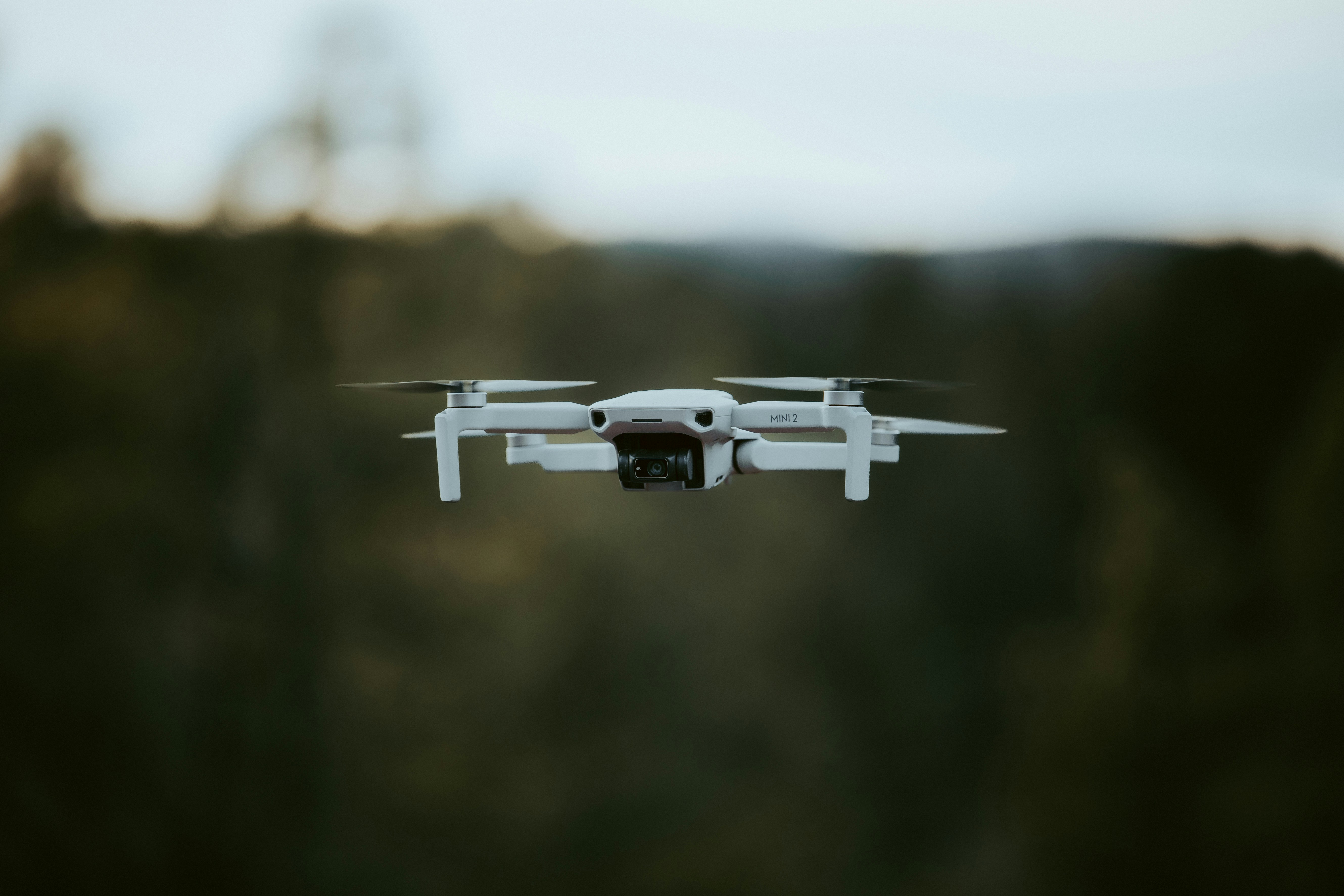 a small white flying over a forest filled with trees