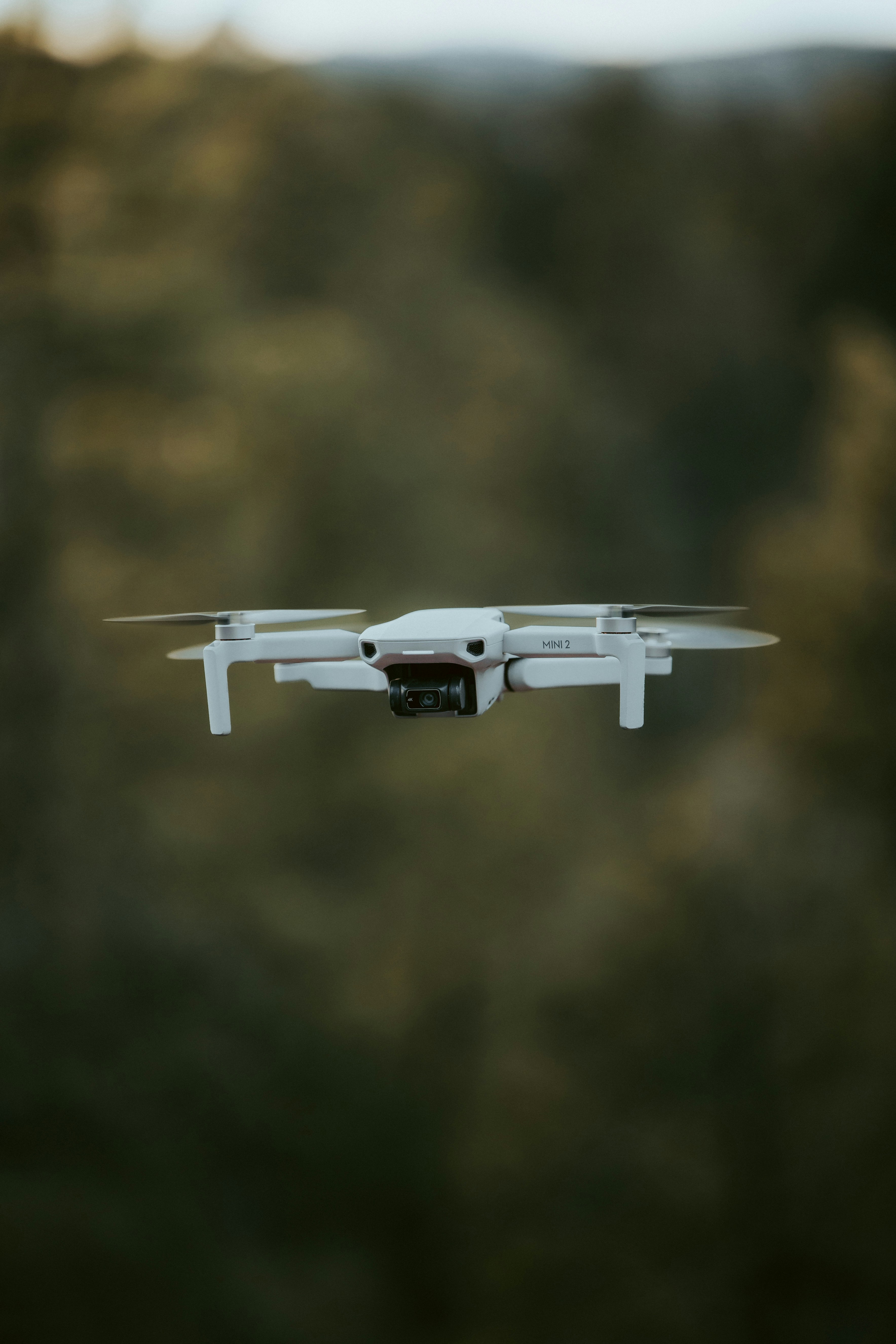 Photo by jeffersonsees