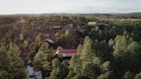 An aerial view of a forested homesite bordered by tall evergreens with a glimpse of Mt. Rainier rising majestically beyond.