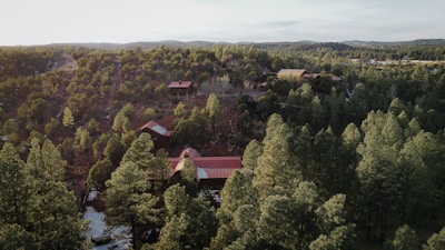 An aerial view of a forested homesite bordered by tall evergreens with a glimpse of Mt. Rainier rising majestically beyond.