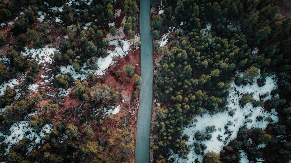 an aerial view of a road in the middle of a forest