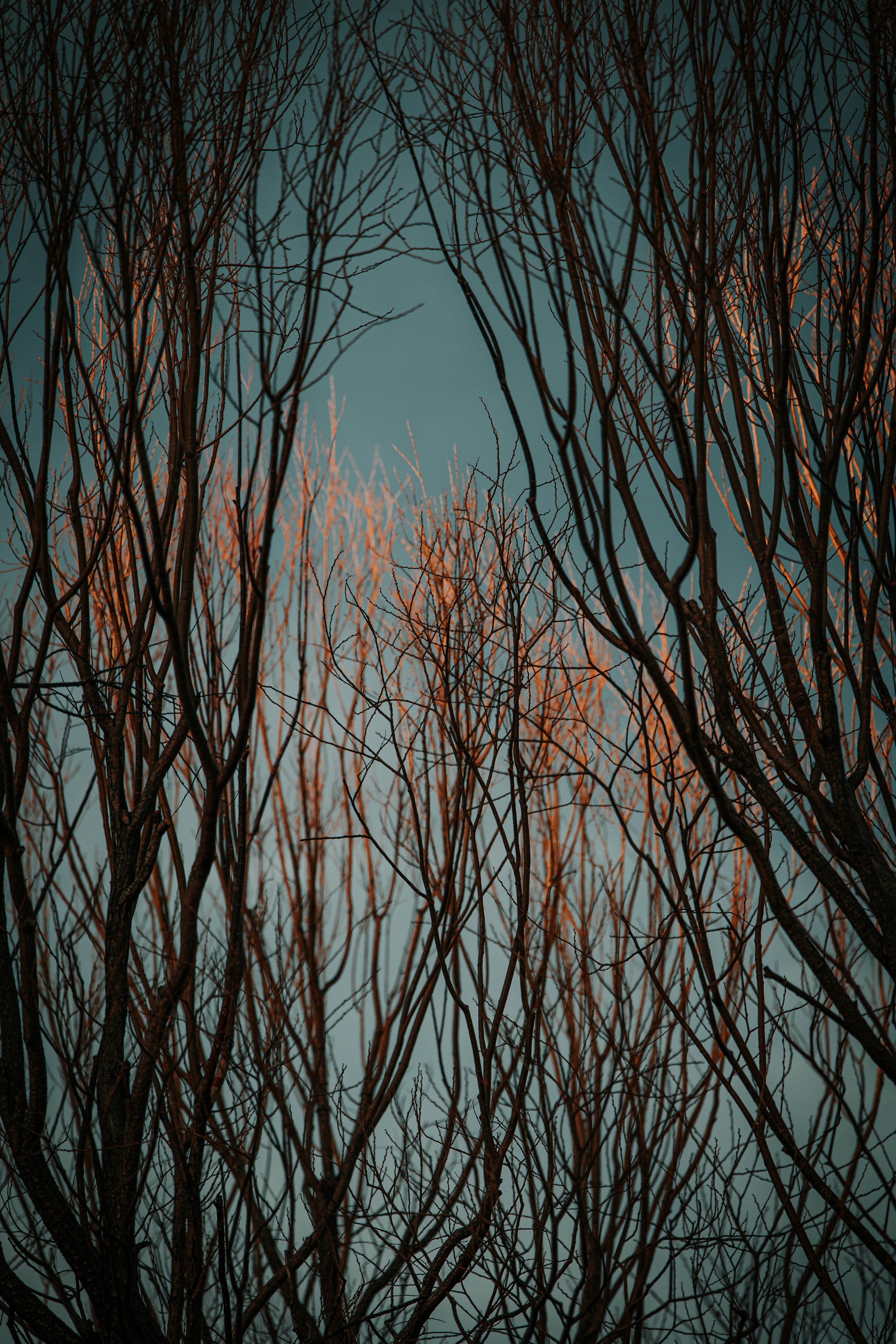 Photo by jeffersonsees