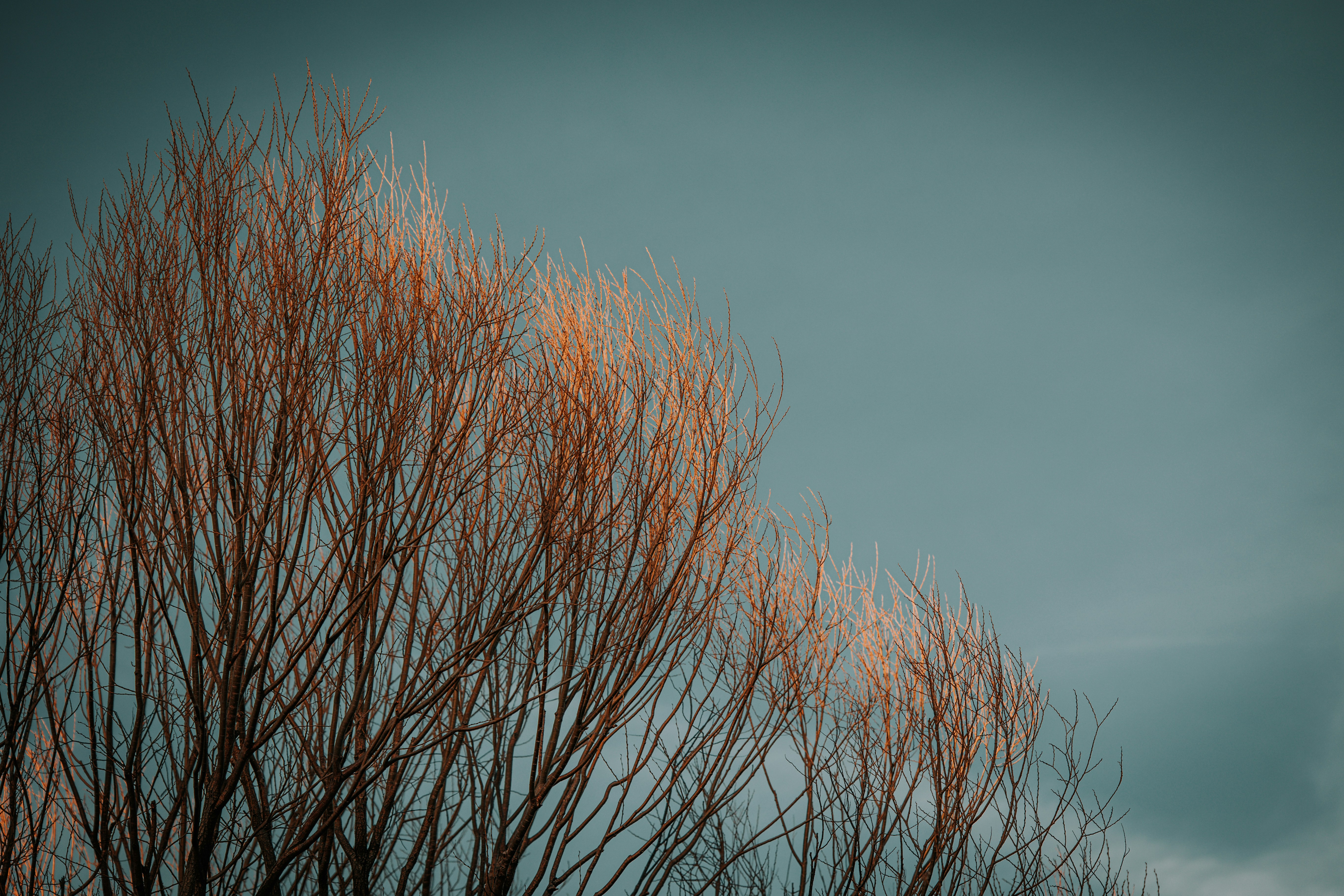 Photo by jeffersonsees