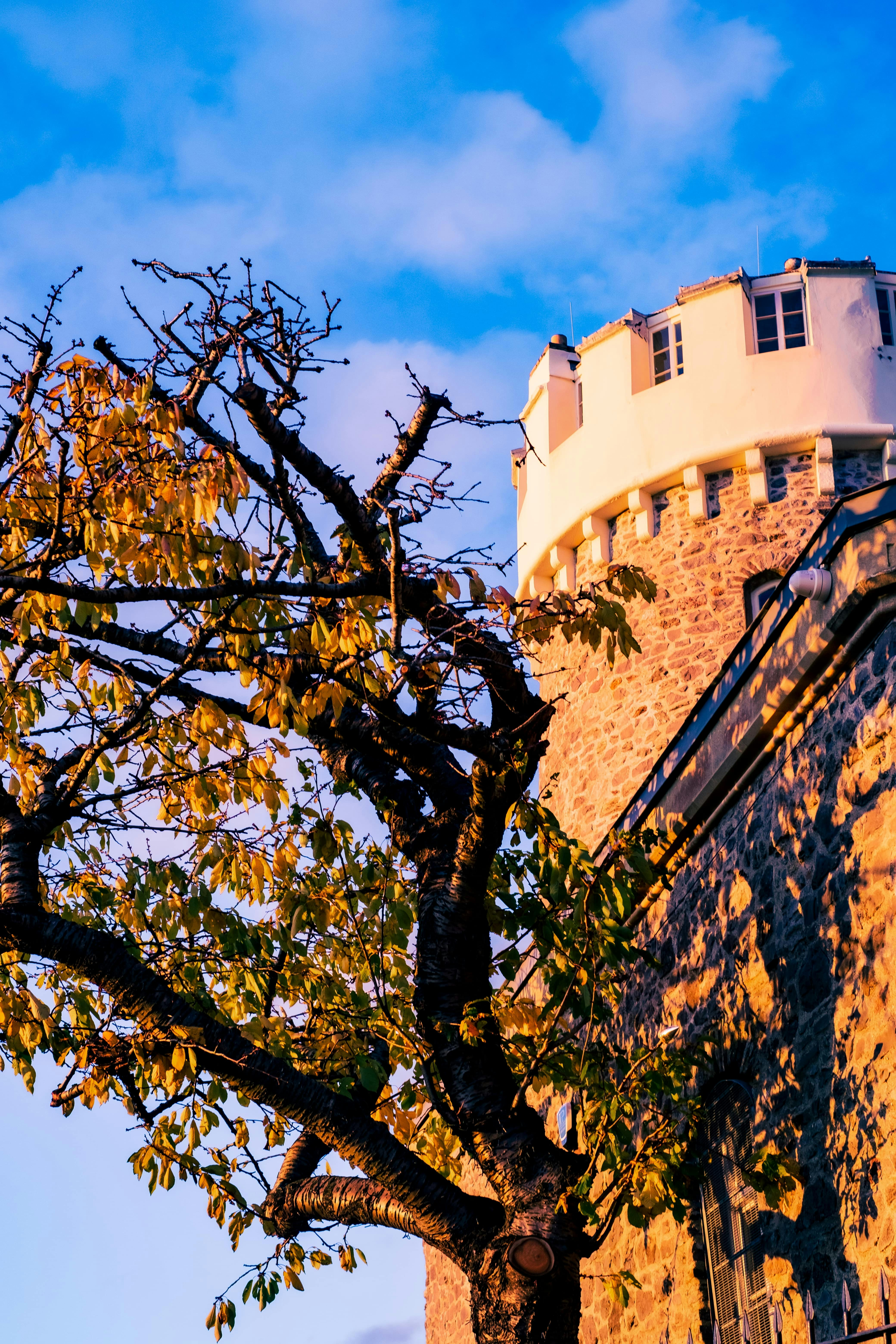 Photo by baguette_knight