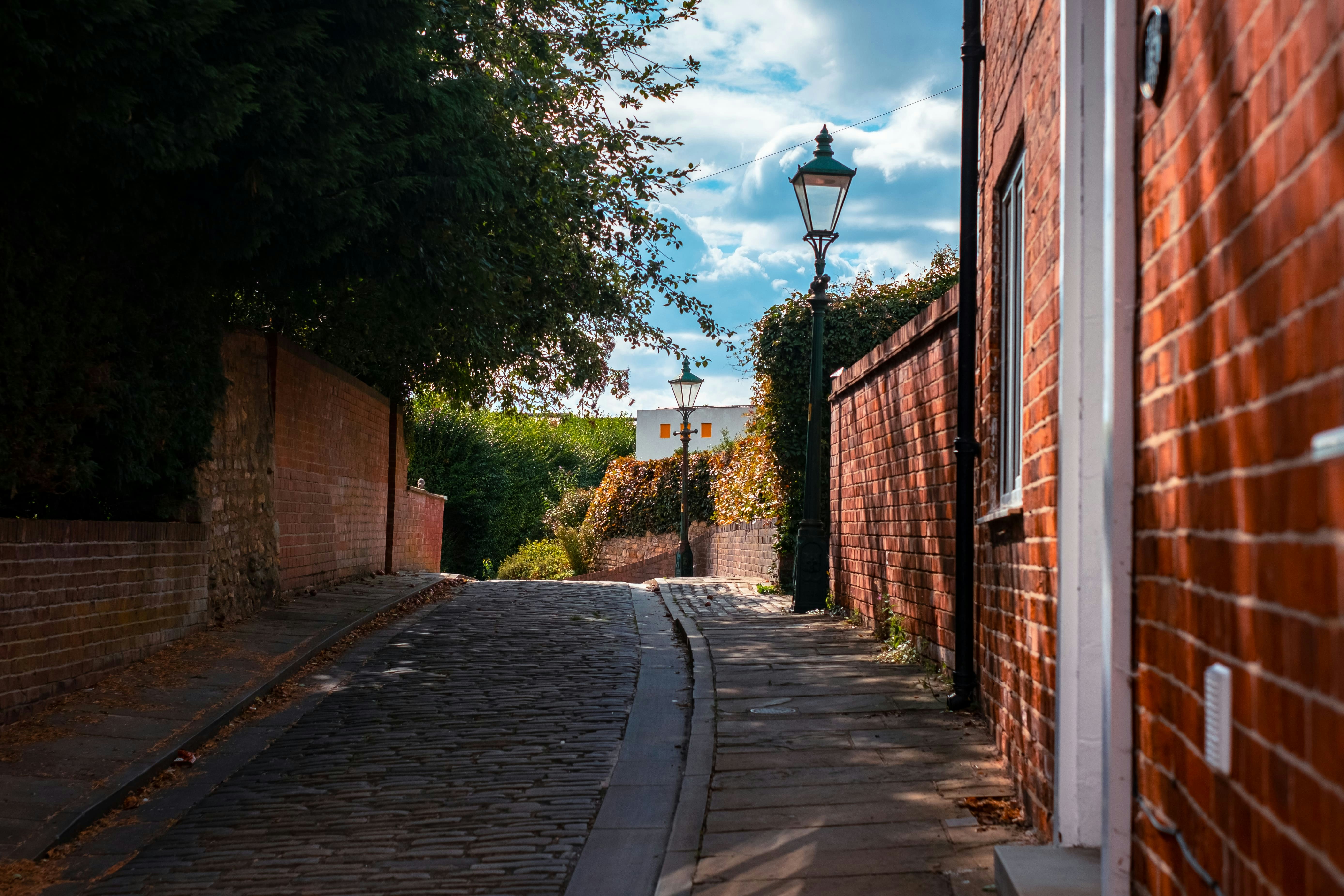 Photo by baguette_knight