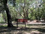 A graceful curved bench placed under a shady tree, inviting relaxation.