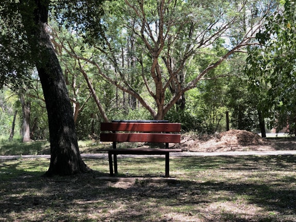 A serene park bench under a large tree for relaxation.