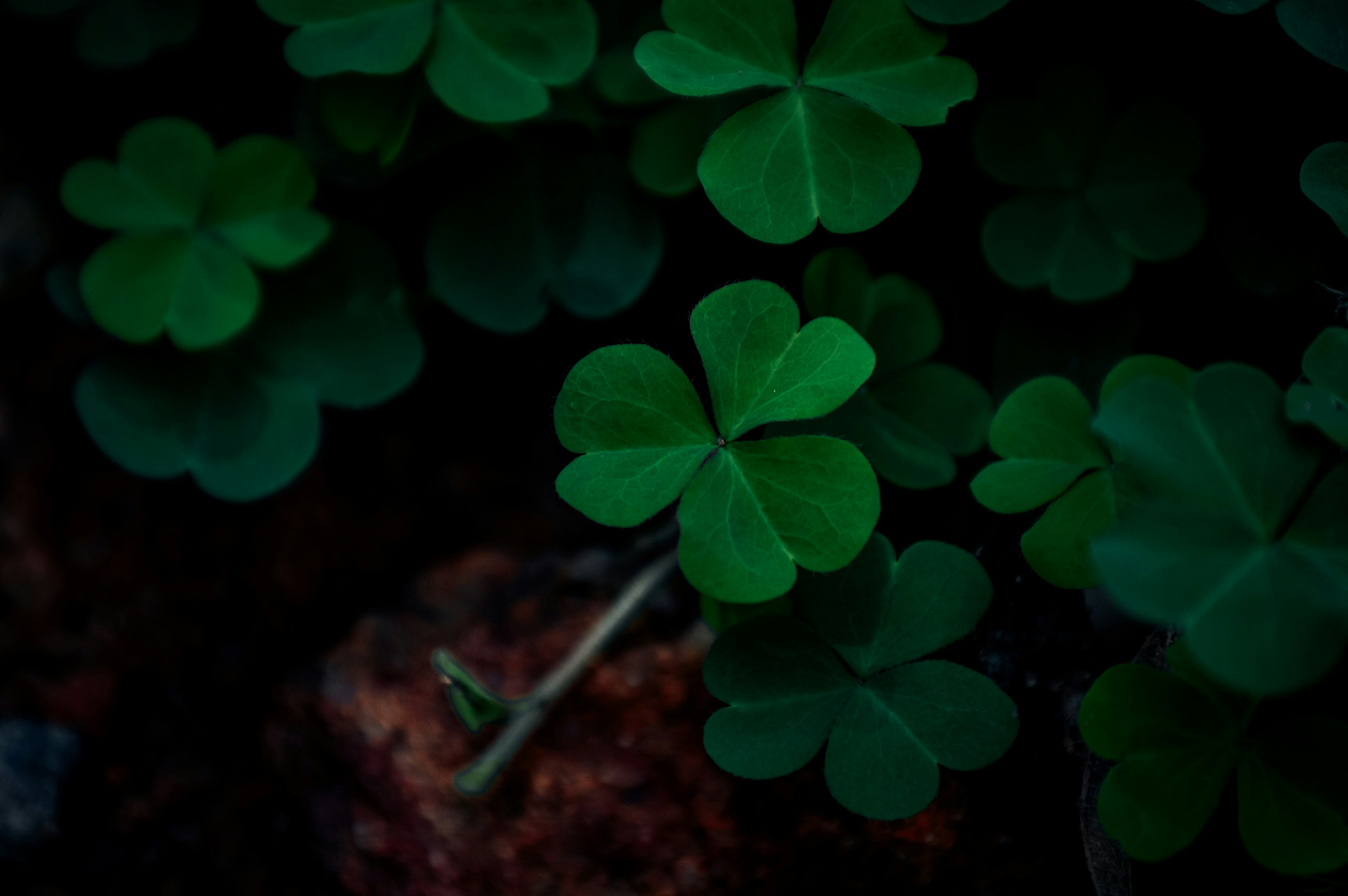 Photo by jithinvijayamohanan