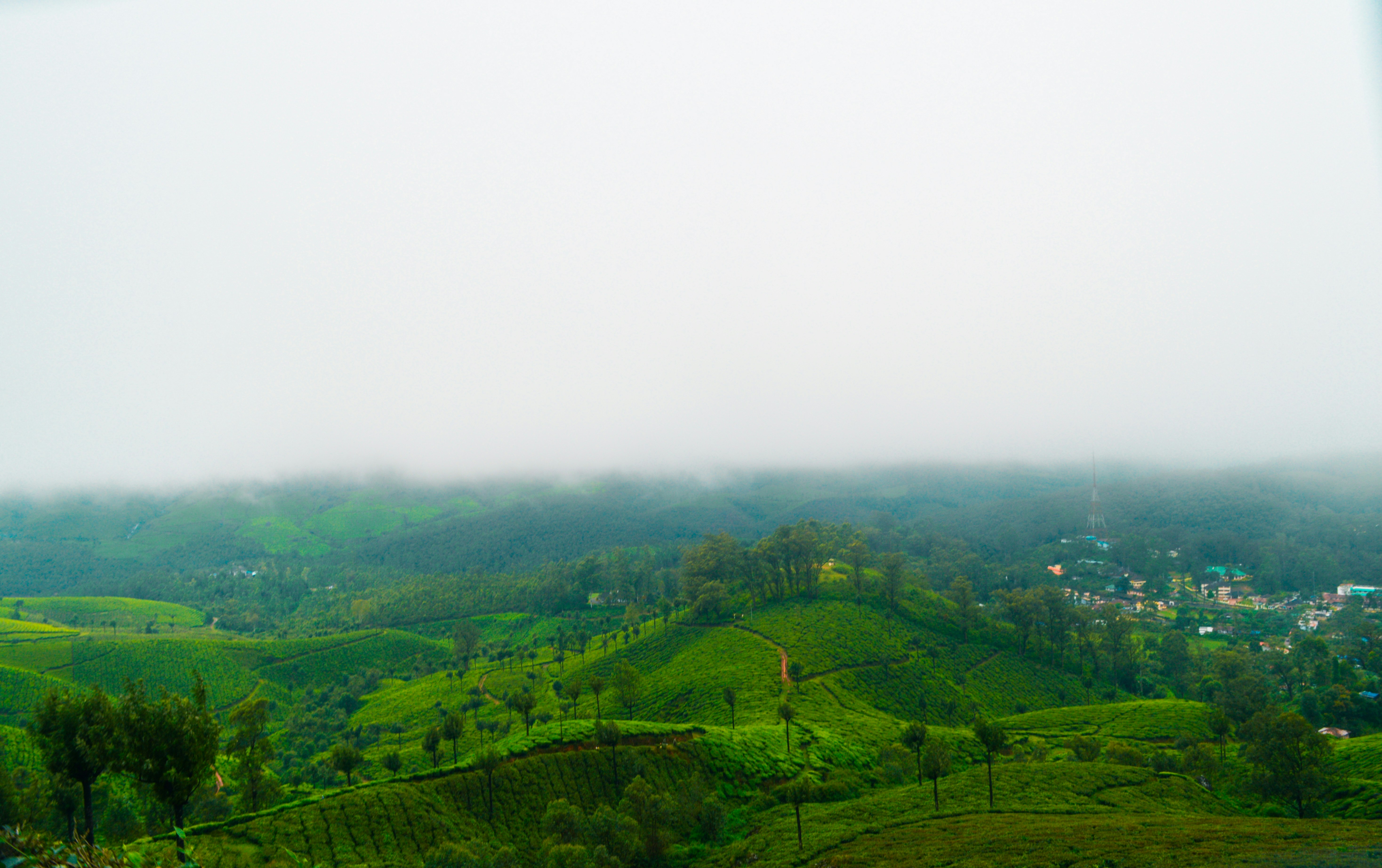 Photo by jithinvijayamohanan