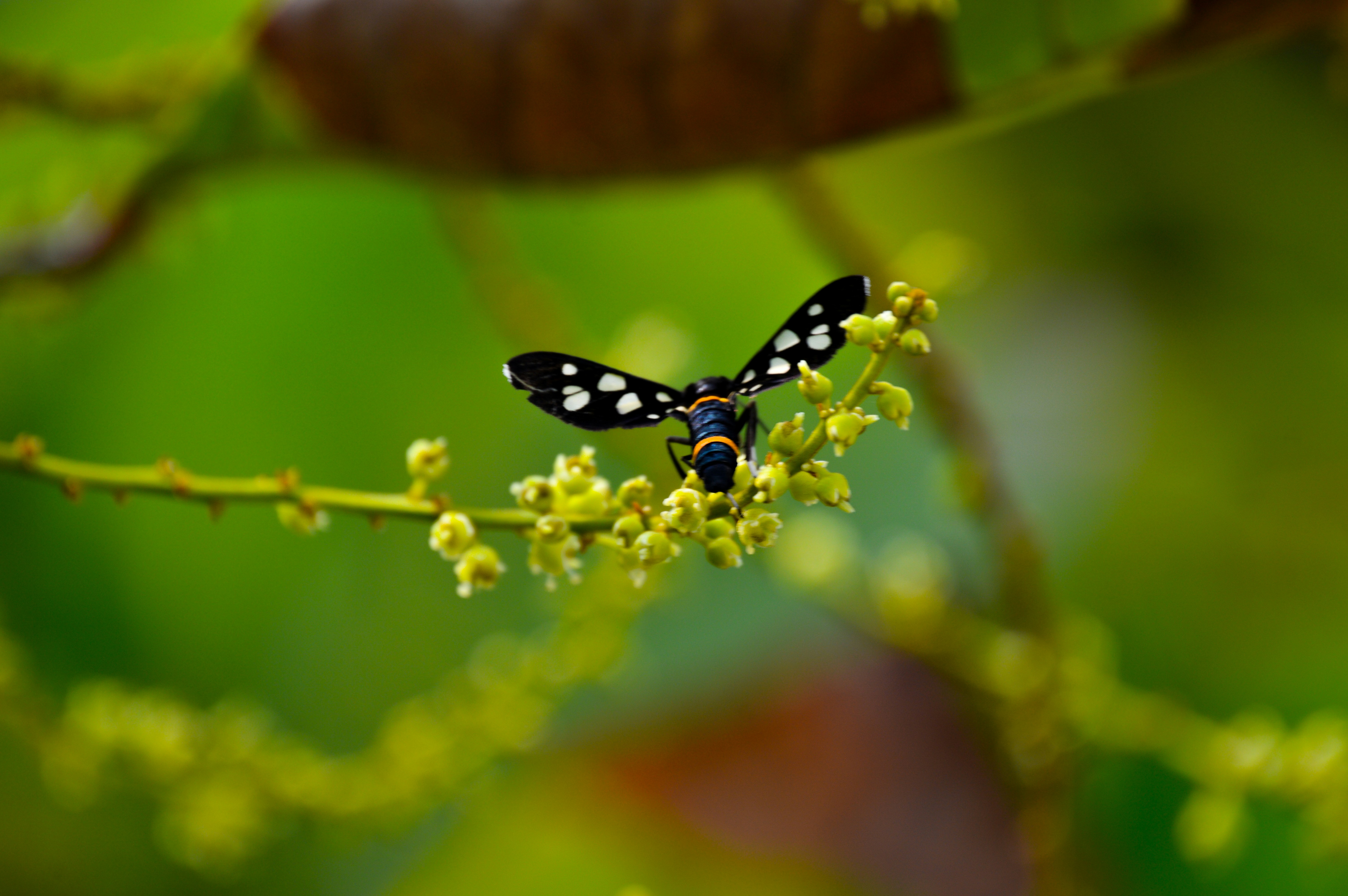 Photo by jithinvijayamohanan