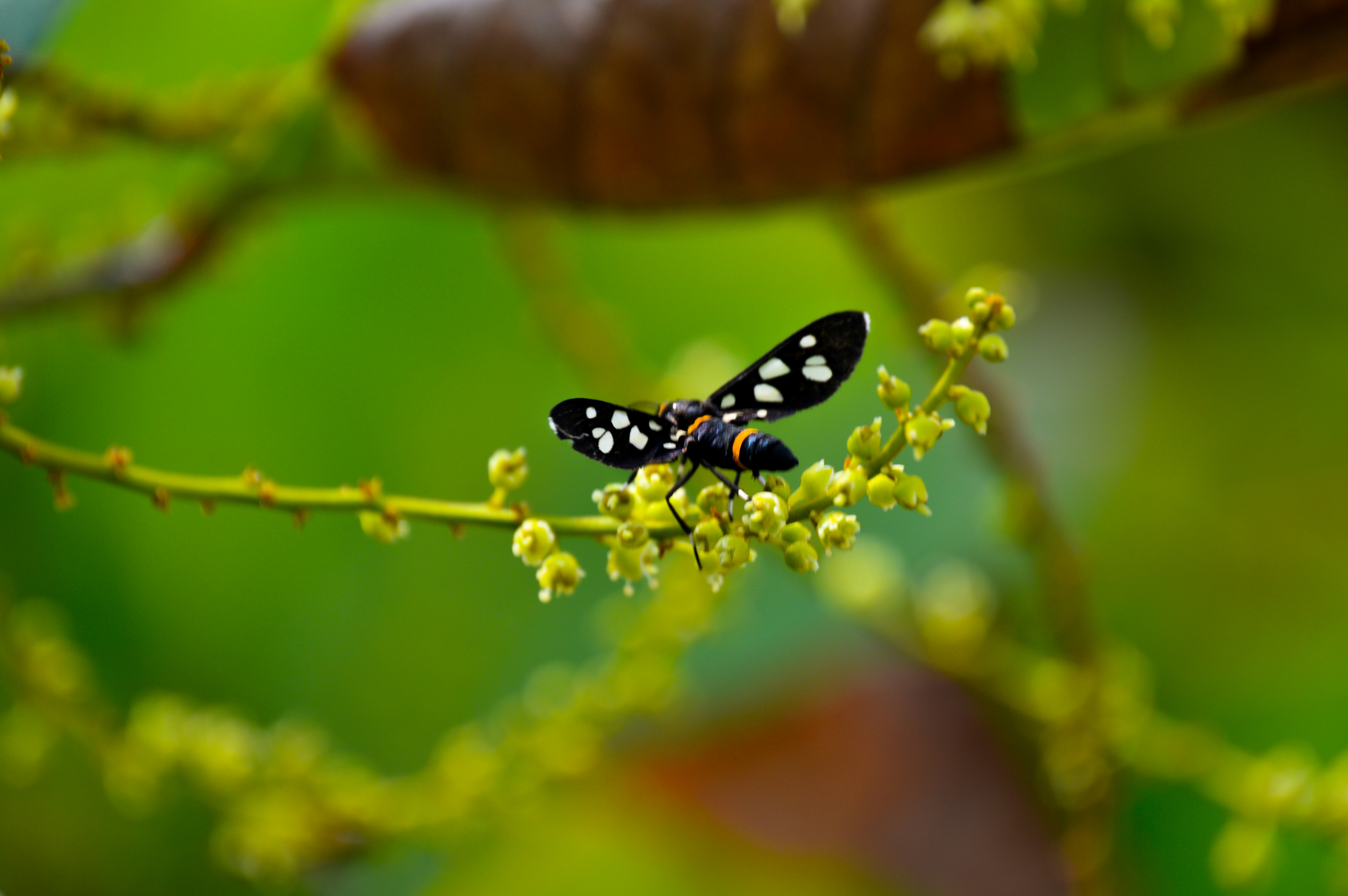 Photo by jithinvijayamohanan