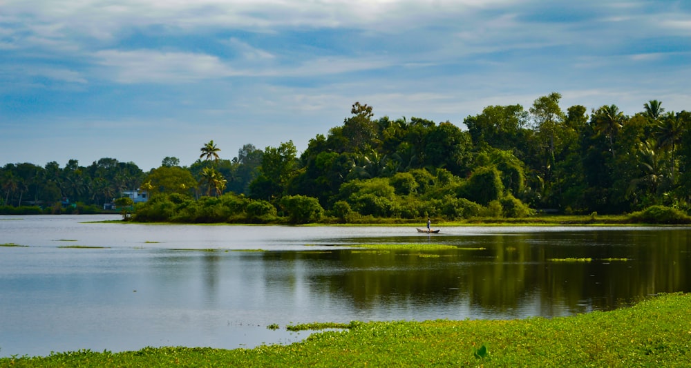 a body of water surrounded by trees and grass