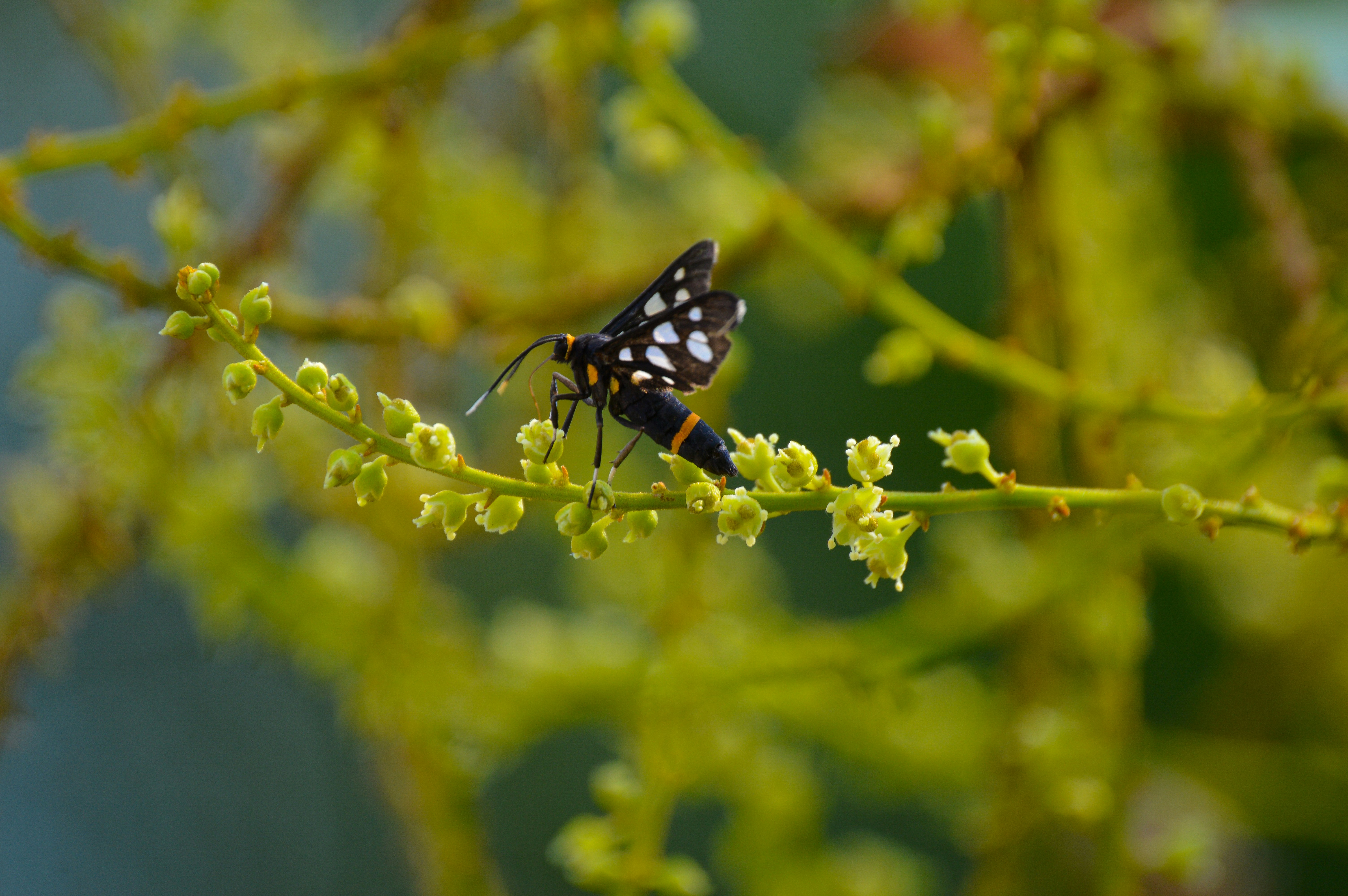 Photo by jithinvijayamohanan