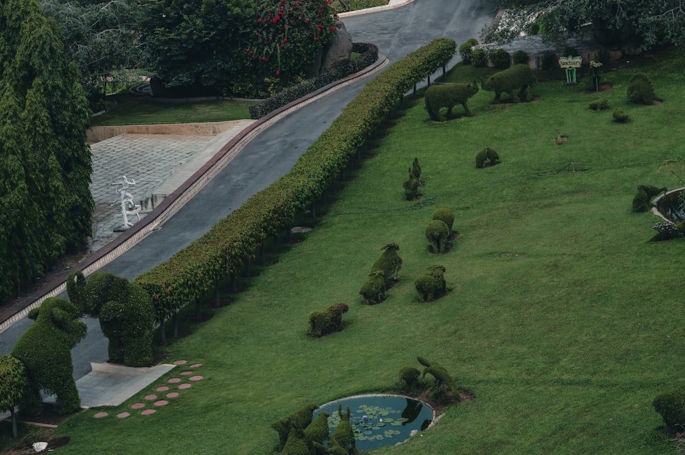 an aerial view of a lush green park