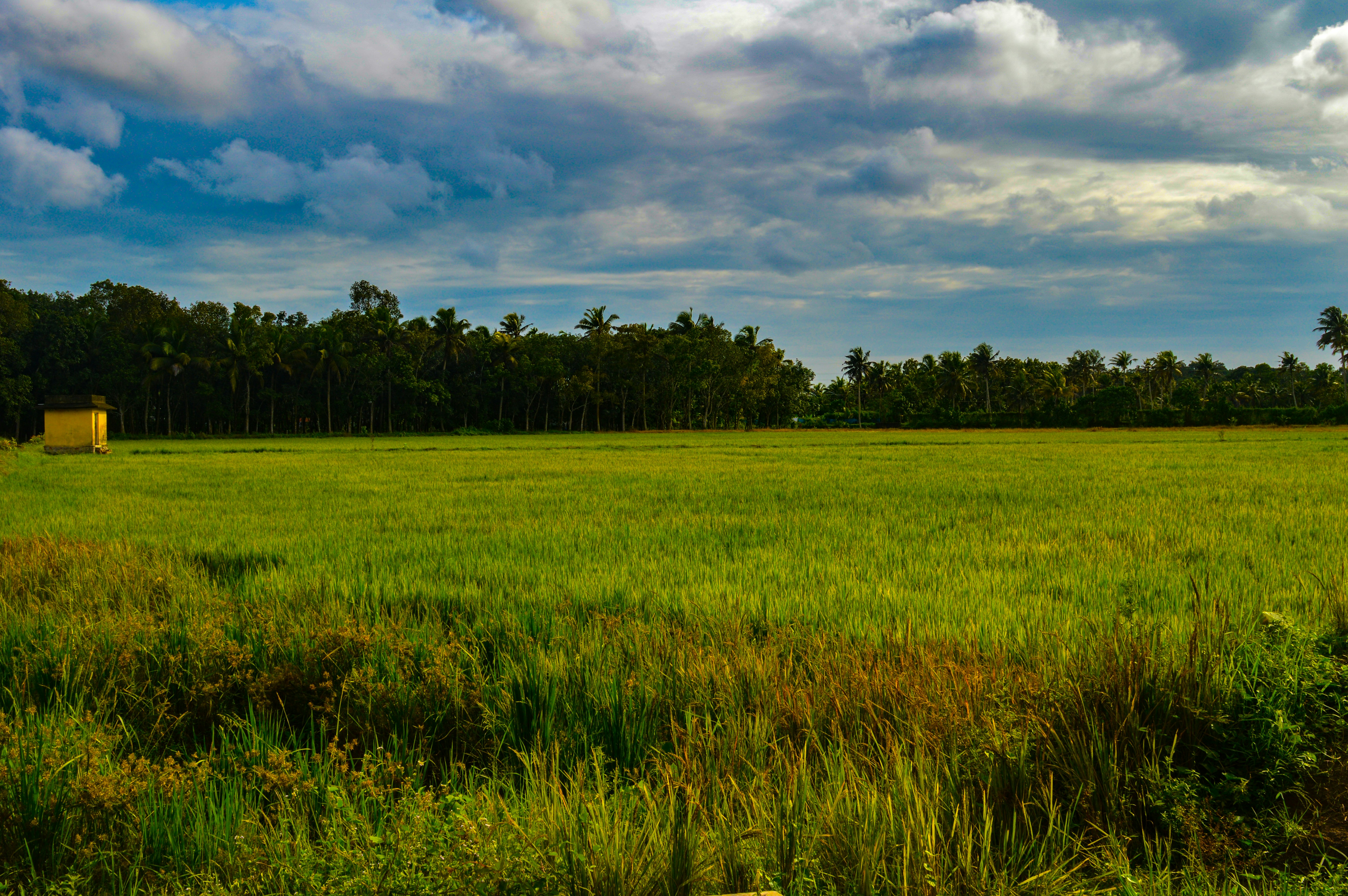 Photo by jithinvijayamohanan