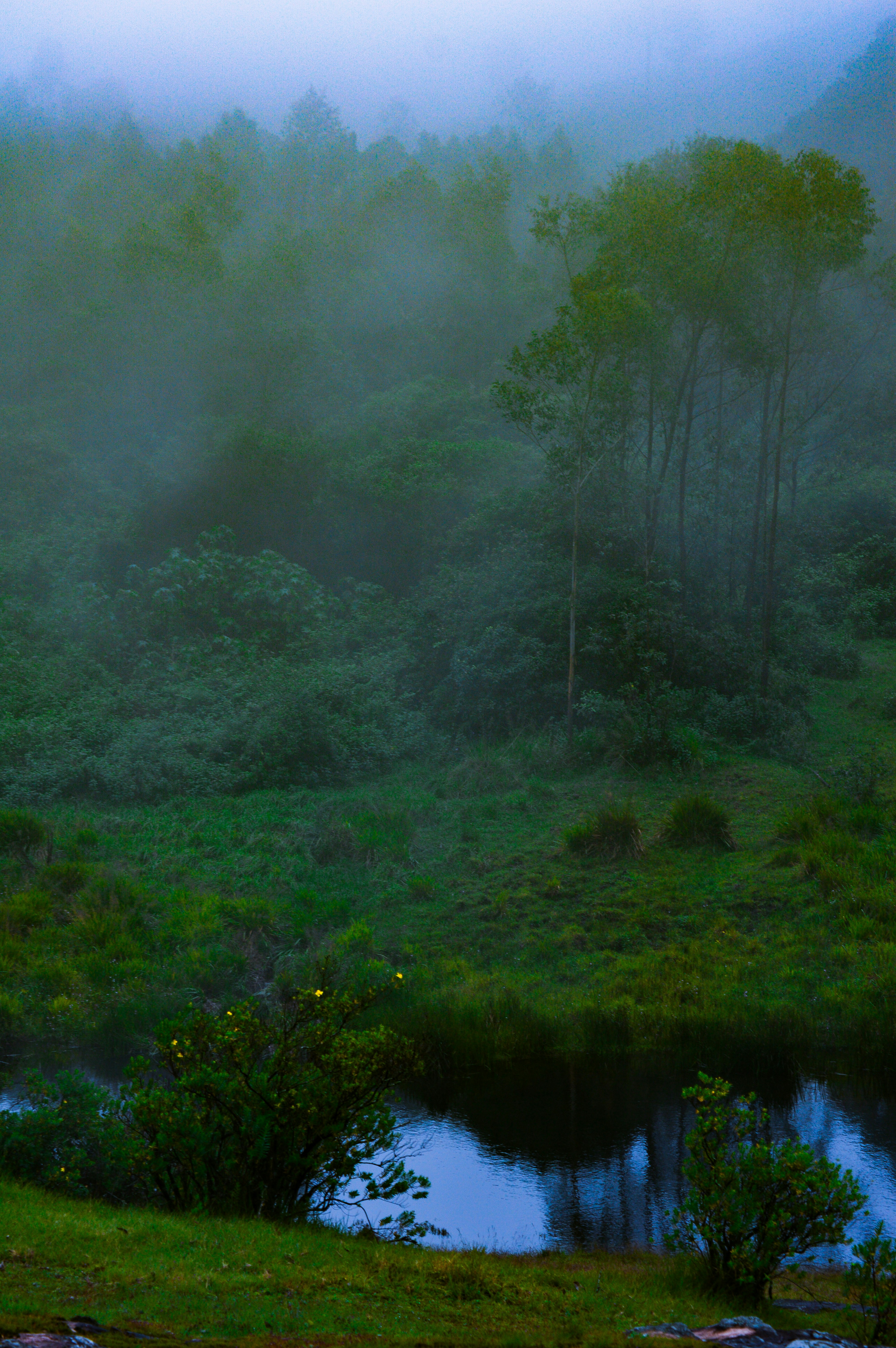 Photo by jithinvijayamohanan