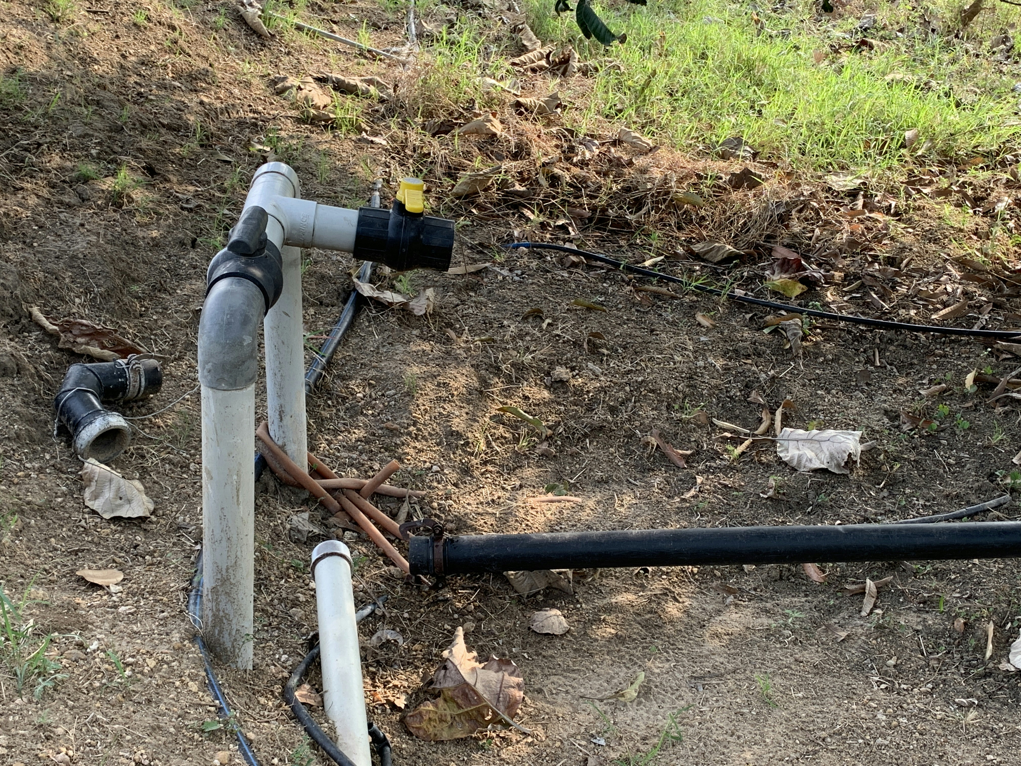 Irrigation pipes in a dry field, dramatic late afternoon light, dark soil and sparse crops