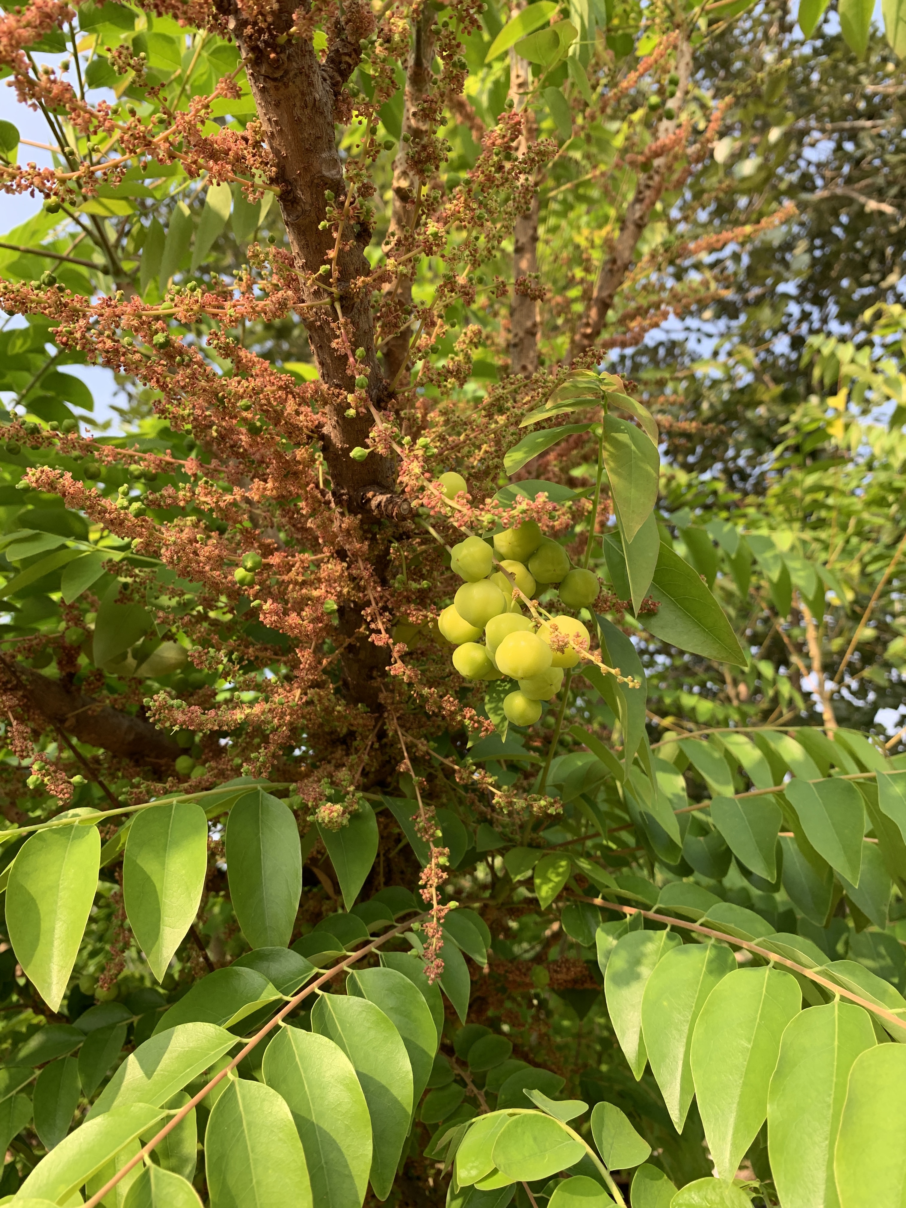 Photo by pravynandas