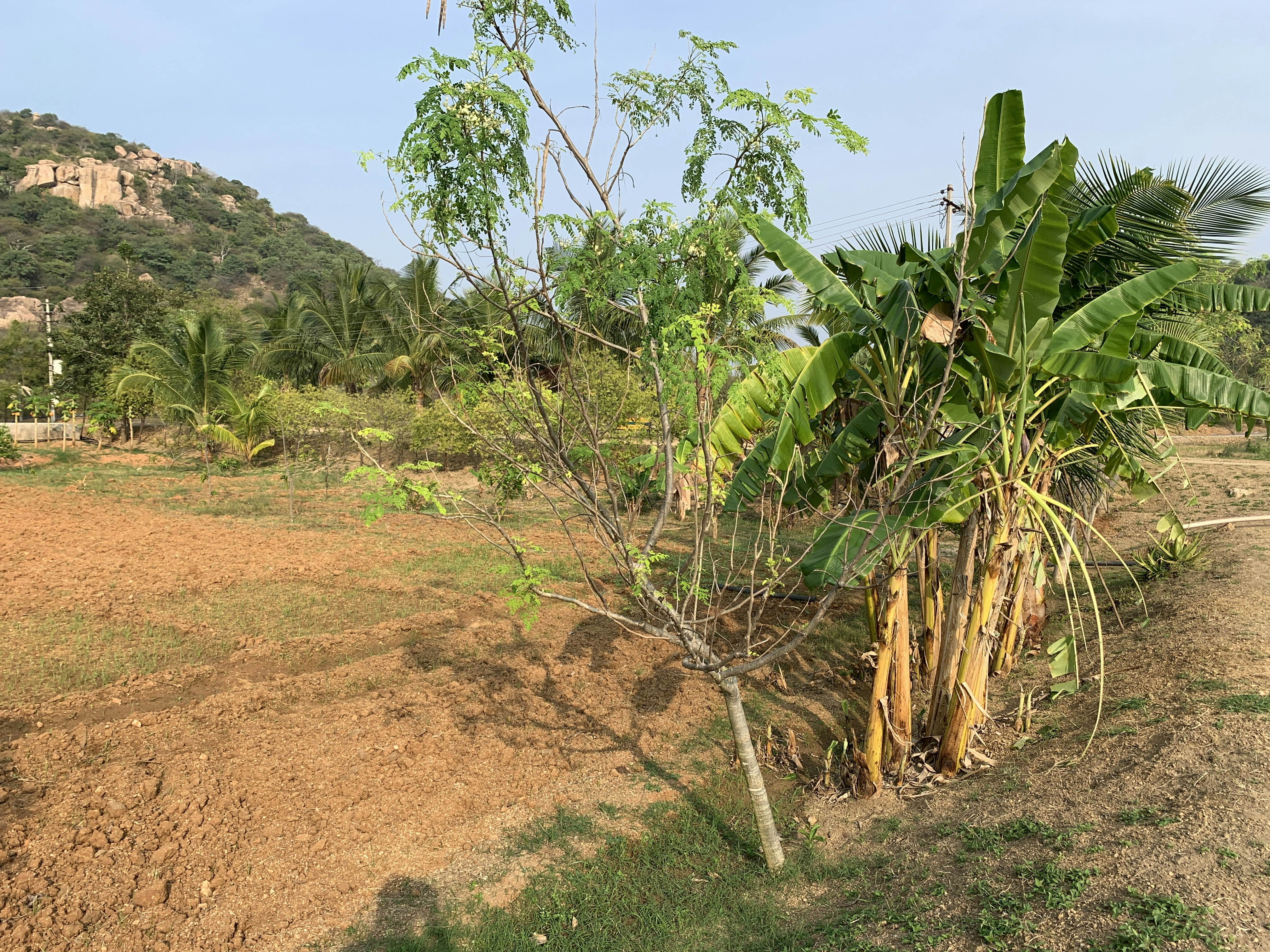 Photo by pravynandas